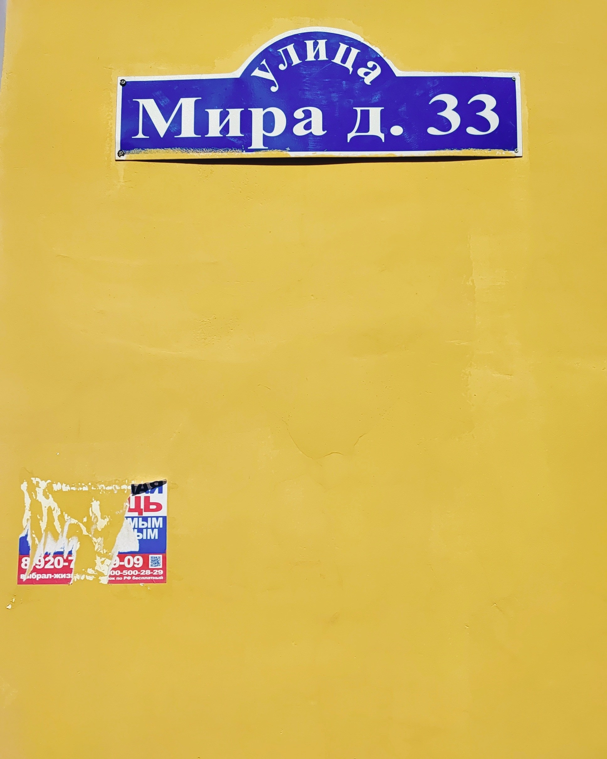 Намобилкус тульский. Репортажный фотограф Алексей Пирязев