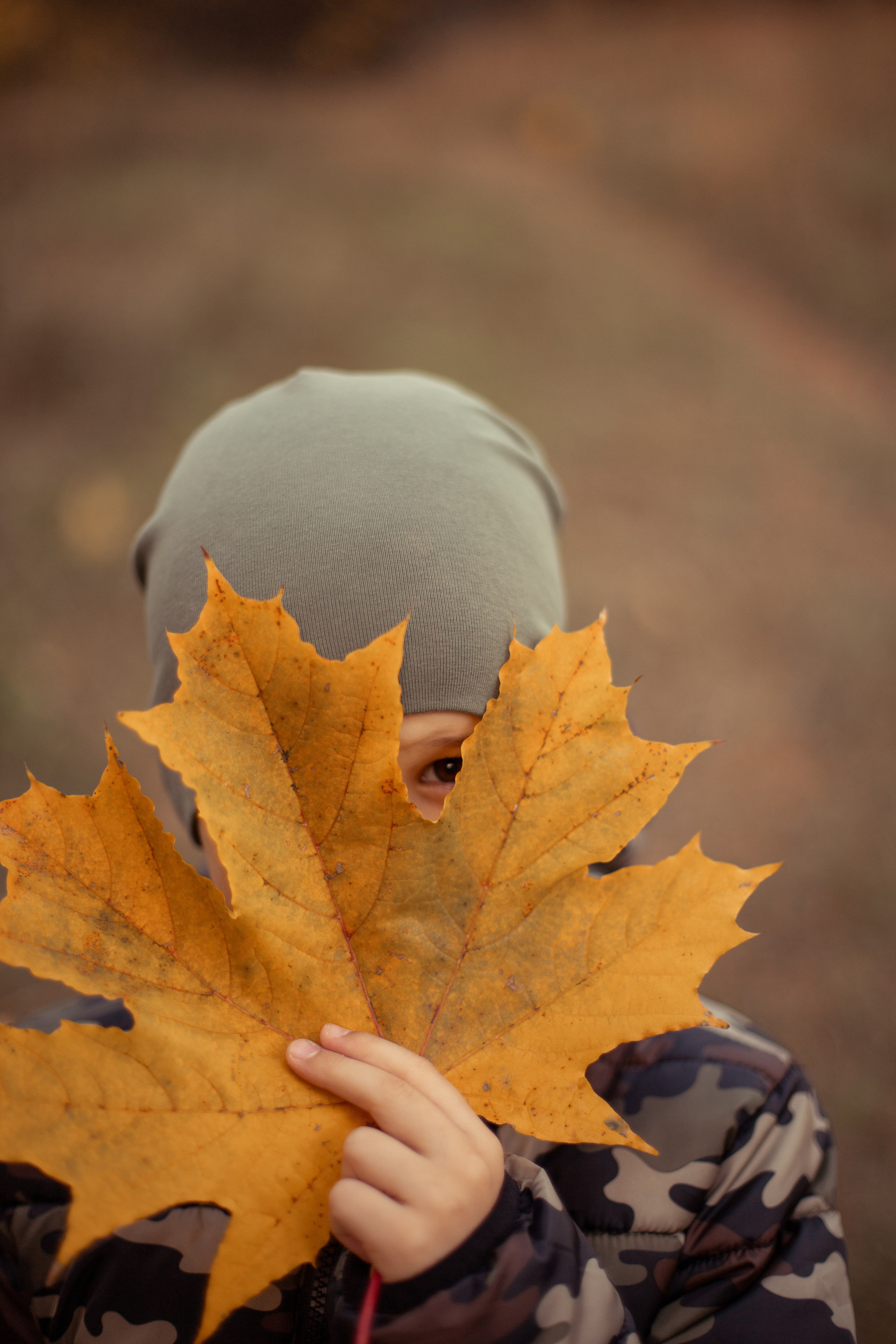 Фотосессия мальчика осенью. Семейный фотограф в г. Видное Дрынова Вера