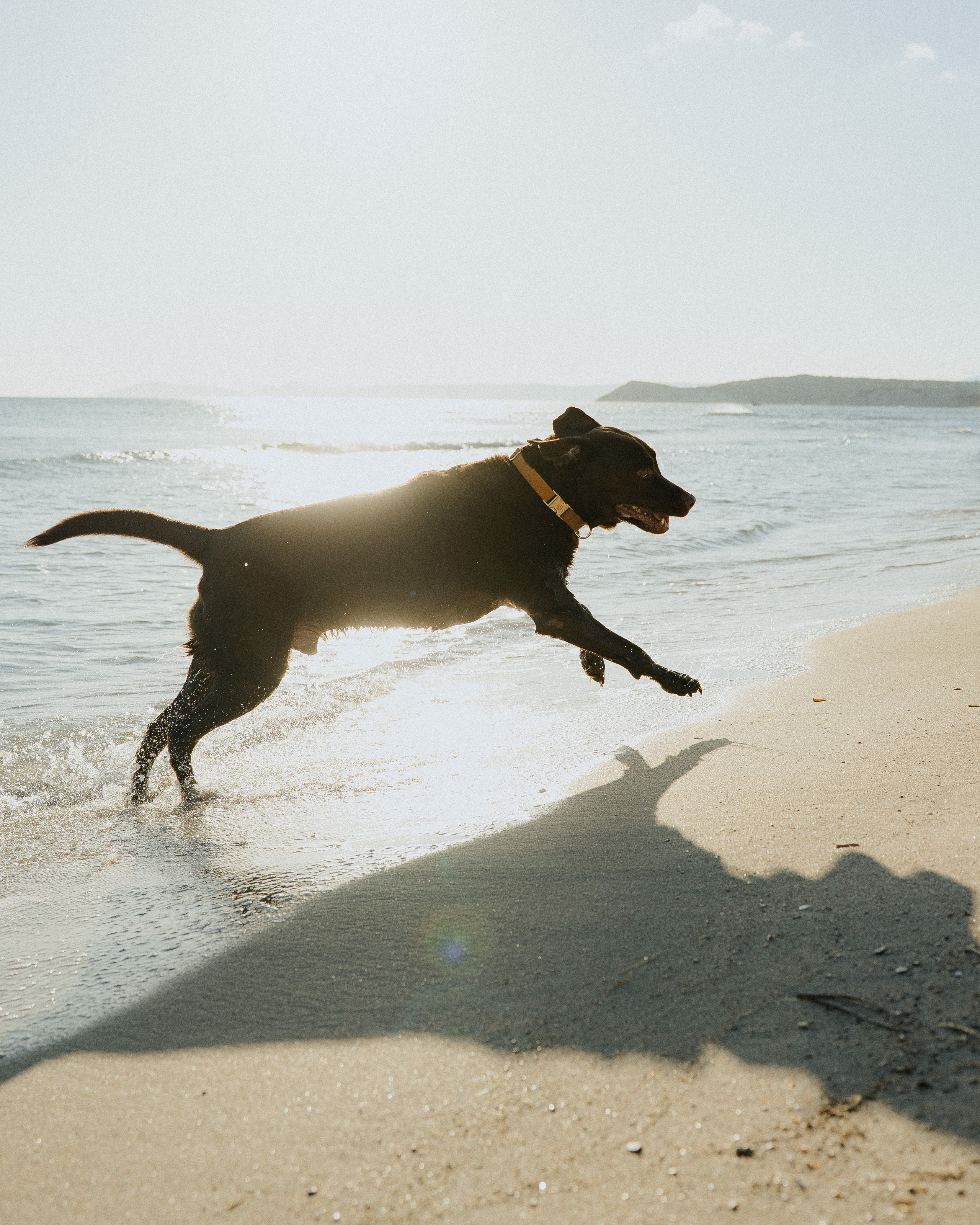 Maria & Onur. İrandek. Fotoğrafçı. İzmir