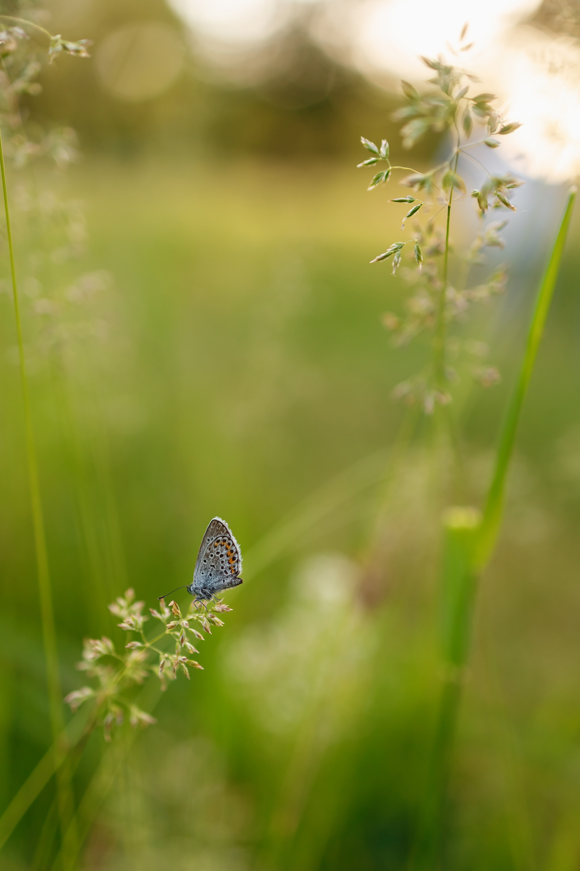 Семейный фотограф Каменск-Шахтинский