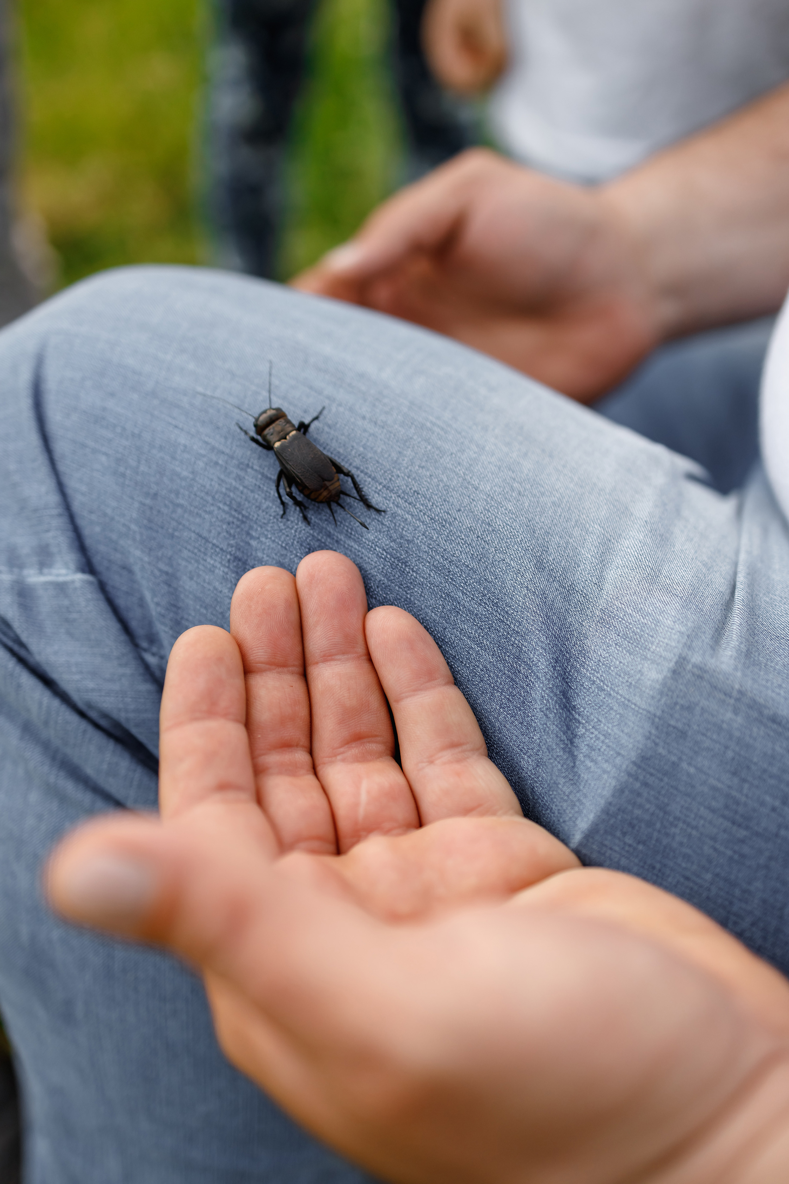 Семейный фотограф Каменск-Шахтинский
