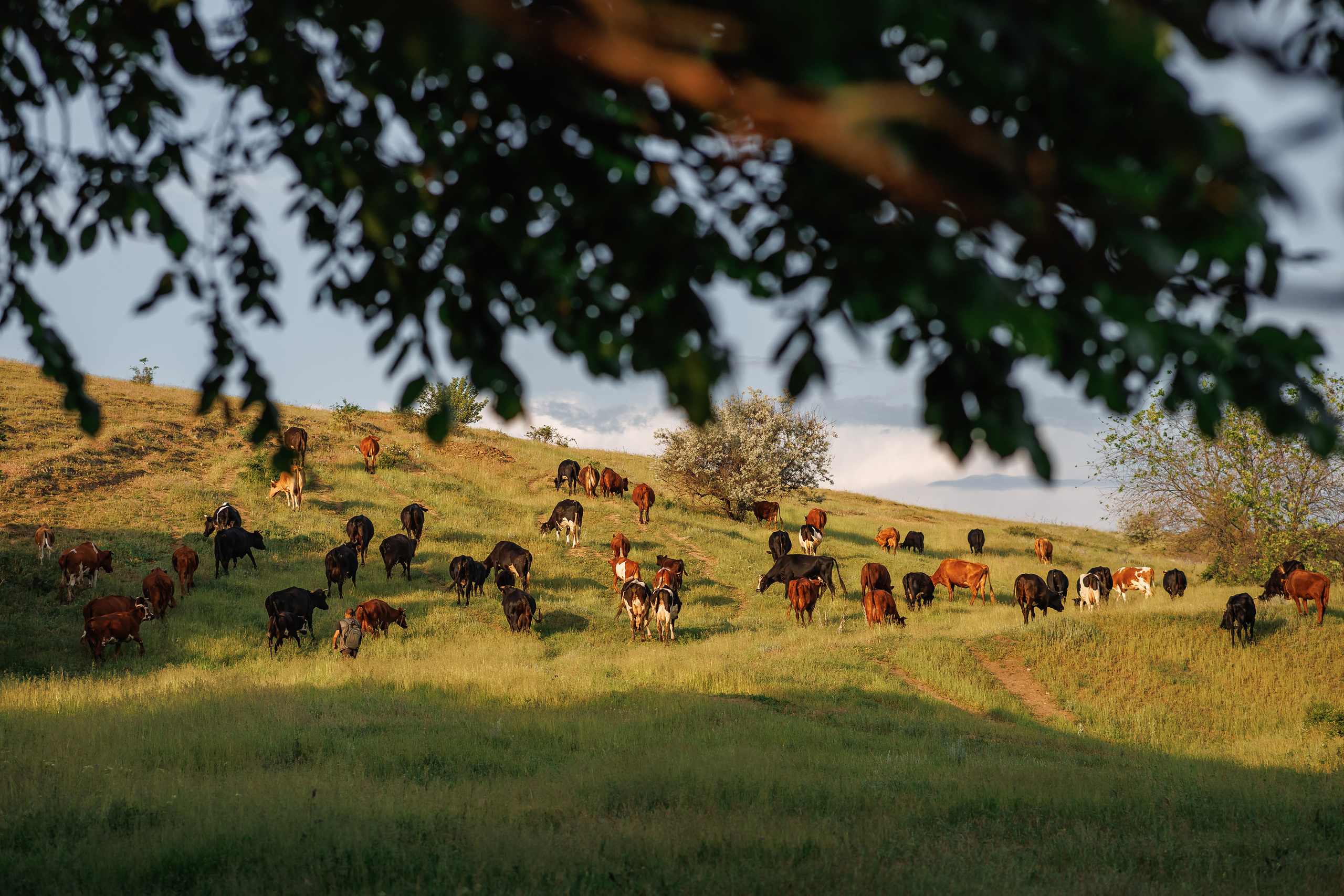 Семейный фотограф Каменск-Шахтинский