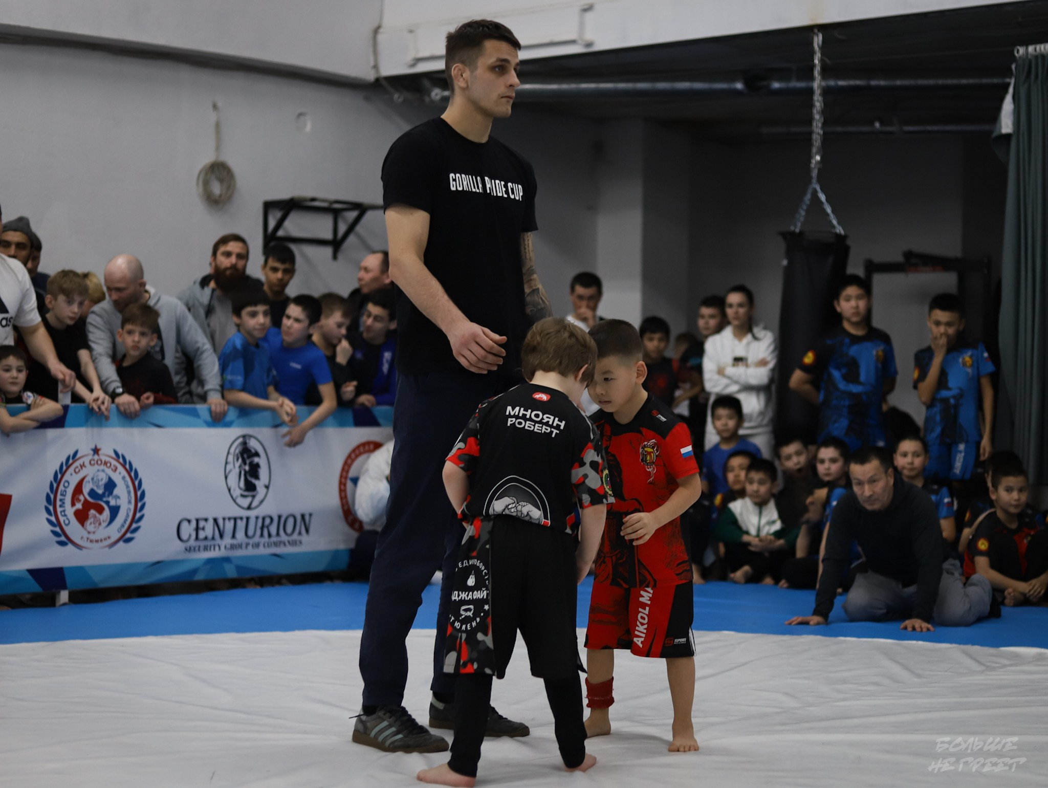 GORILLA PRIDE CUP. Больше не греет