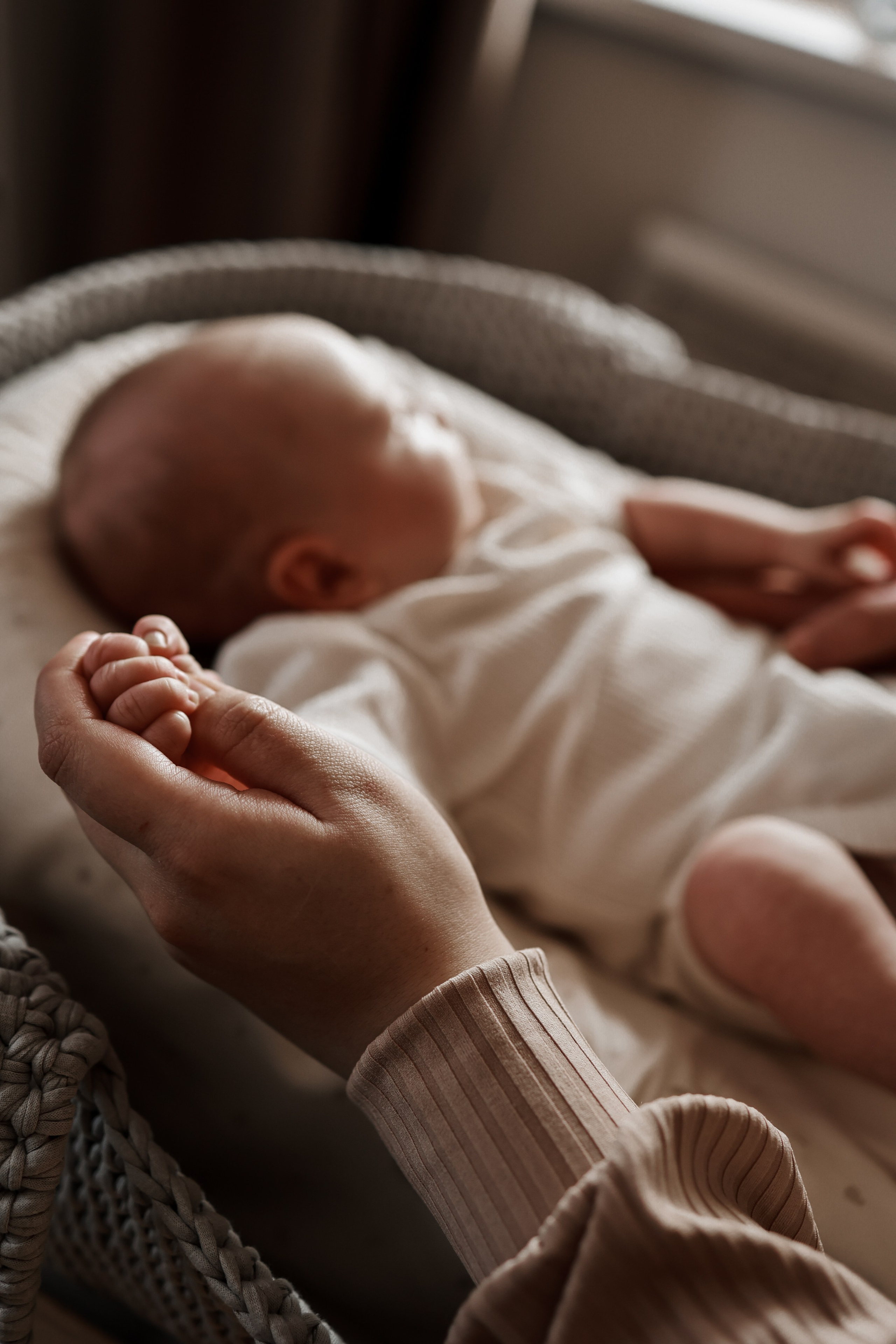 Домашние истории. Фотограф Юлия Говор