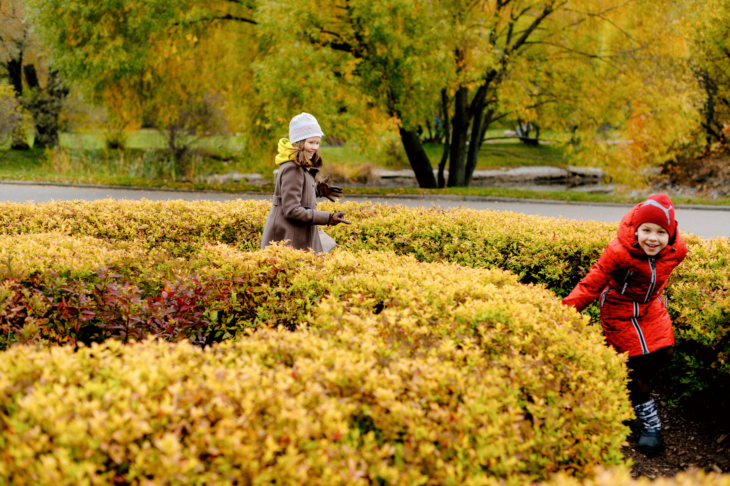 ОСЕННИЙ БОТСАД. Шашкова Вероника / Свадебный и семейный фотограф Москва и Ярославль