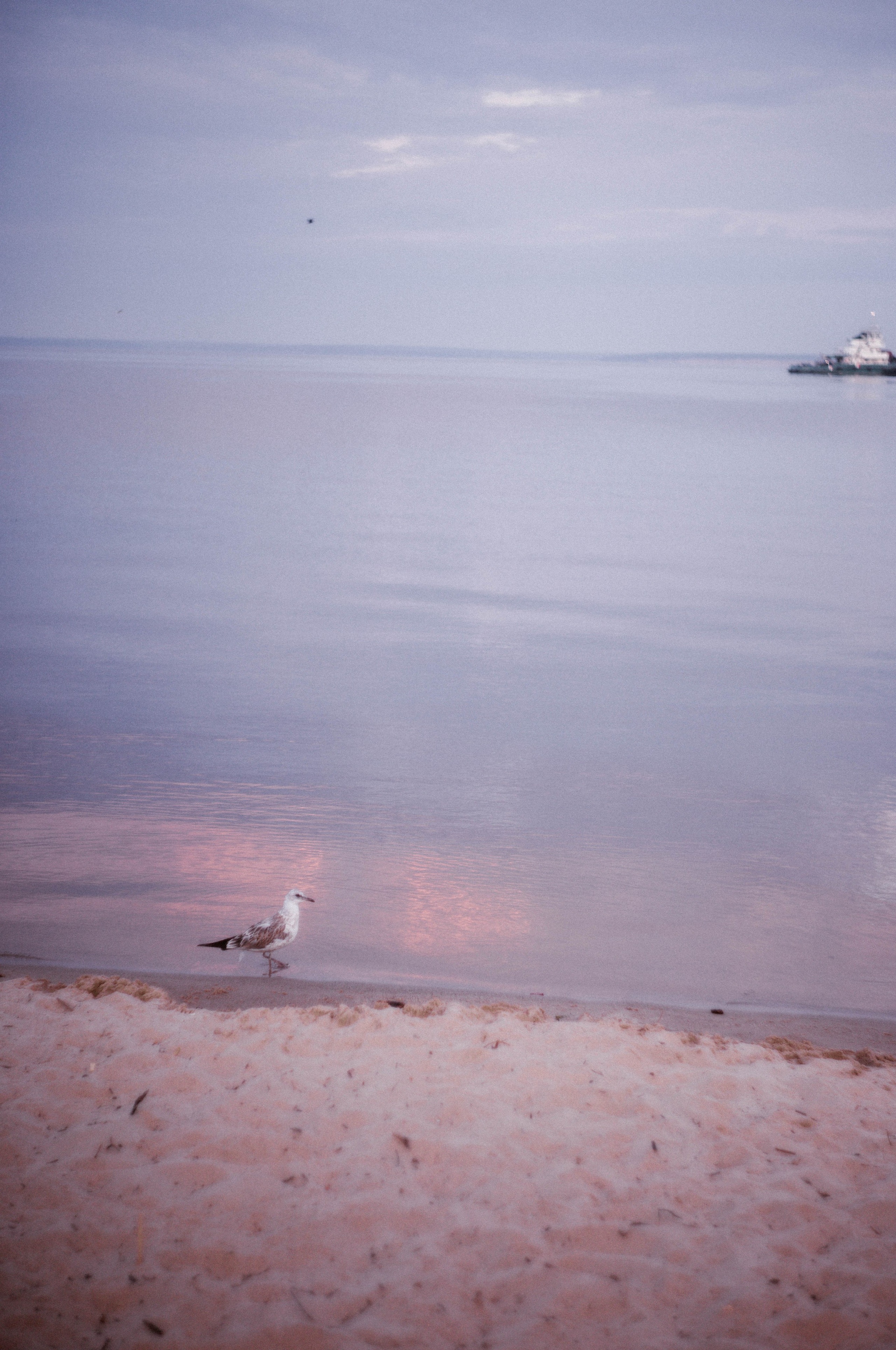 ФотоТуса ГОРЕ-МОРЕ. Фотограф в Нижнем Новгороде