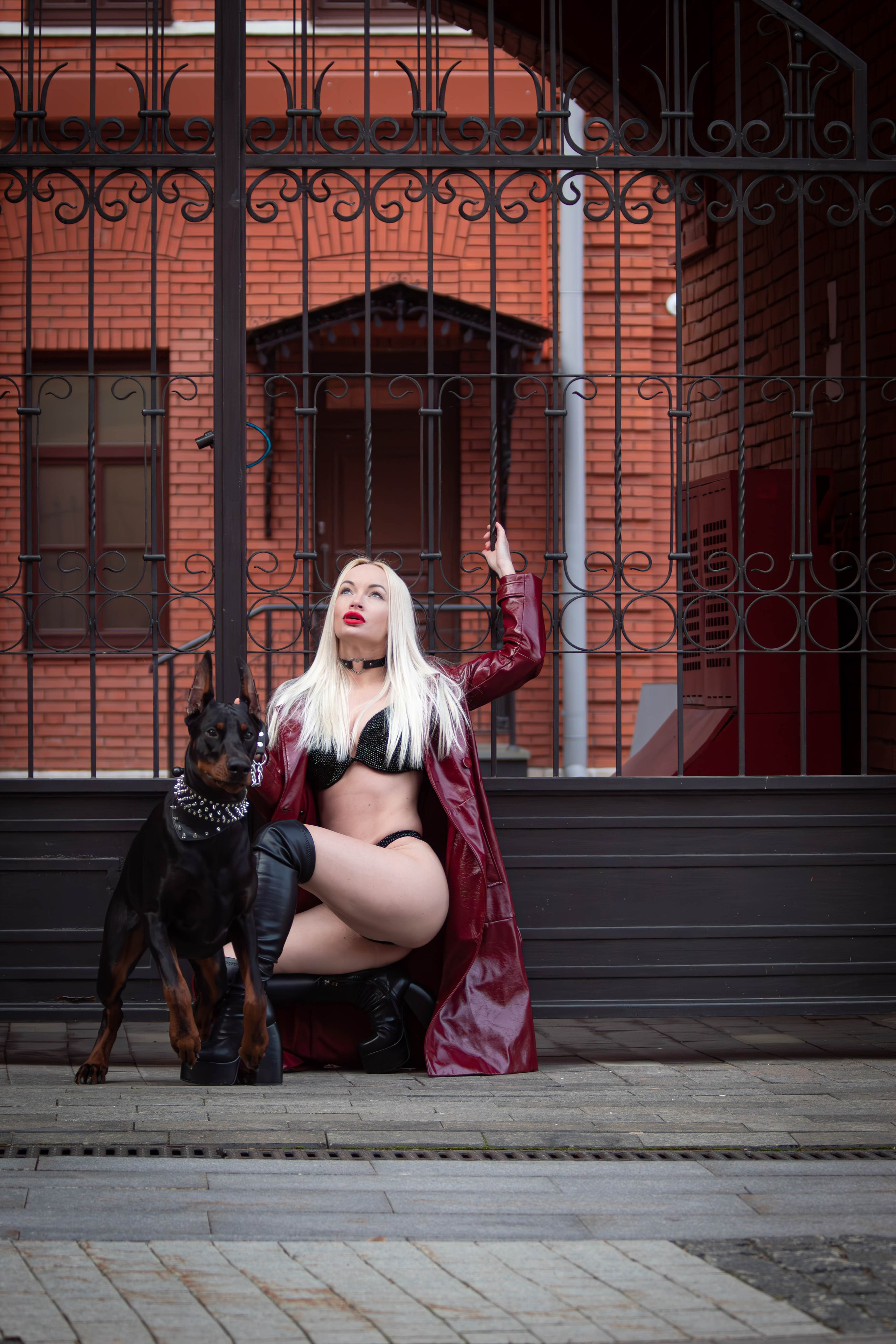 Фотосессии с животными Тула. Фотограф анималист — Тула, Москва