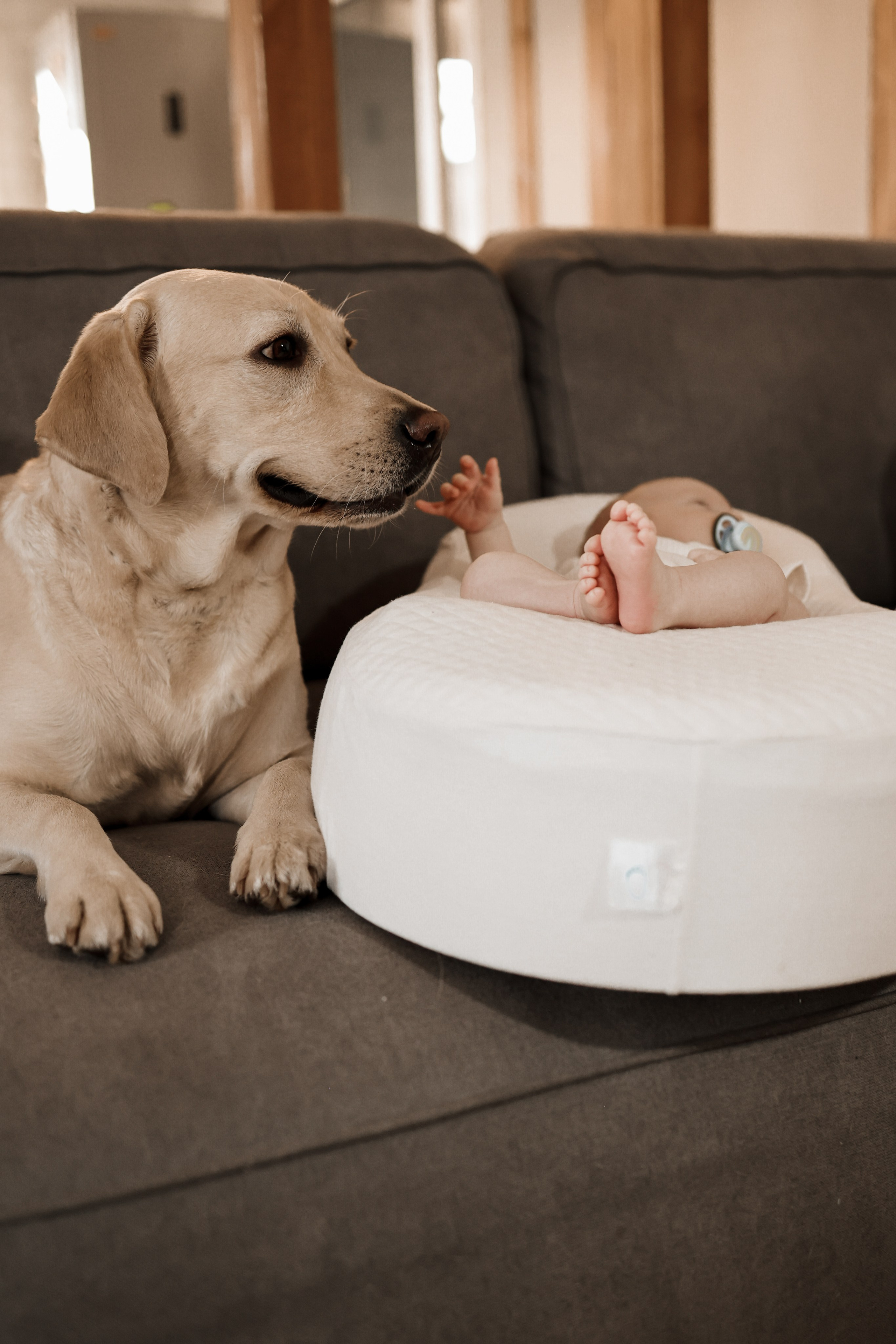 Домашние истории. Фотограф Юлия Говор