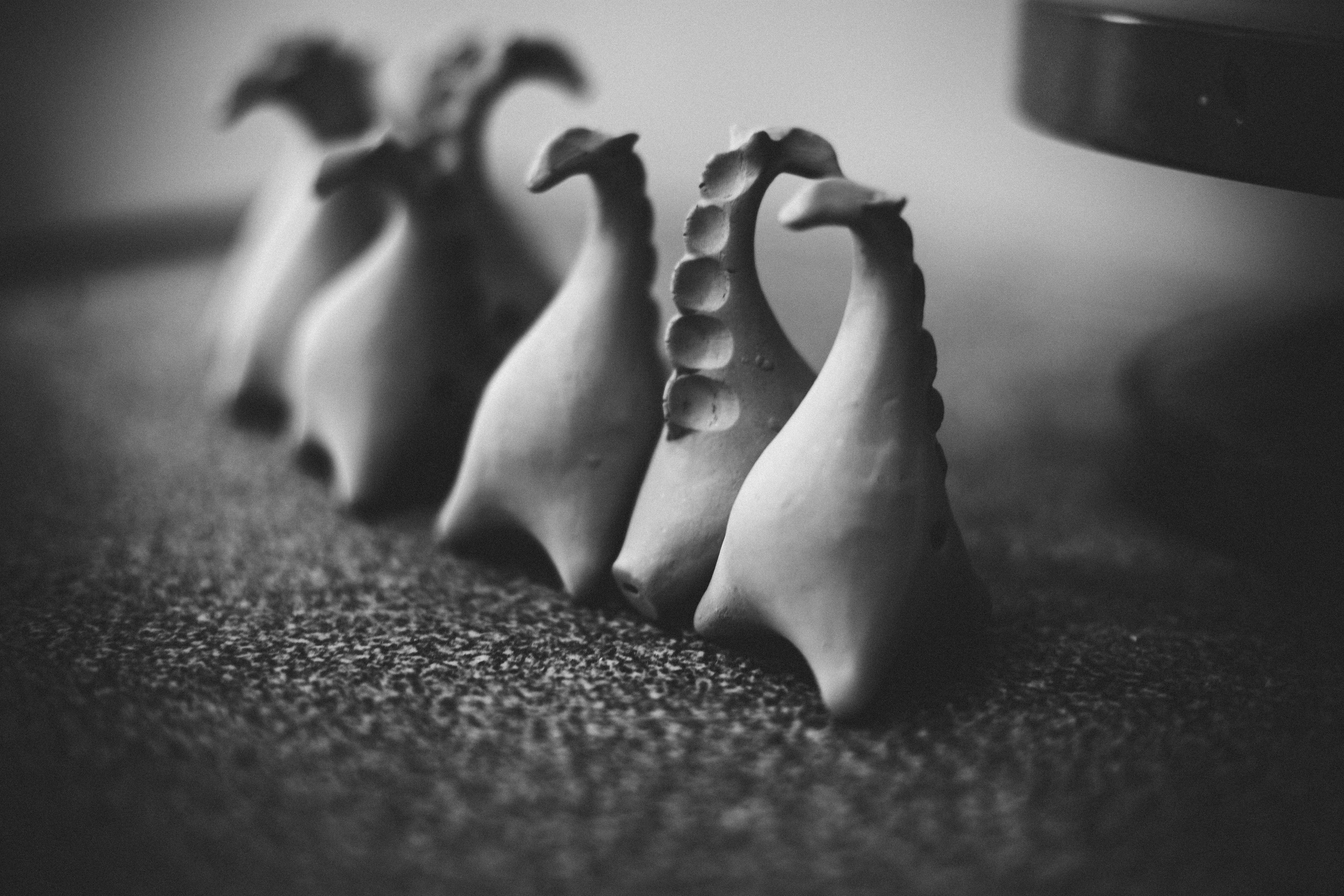 В музее. Фотограф в Нижнем Новгороде