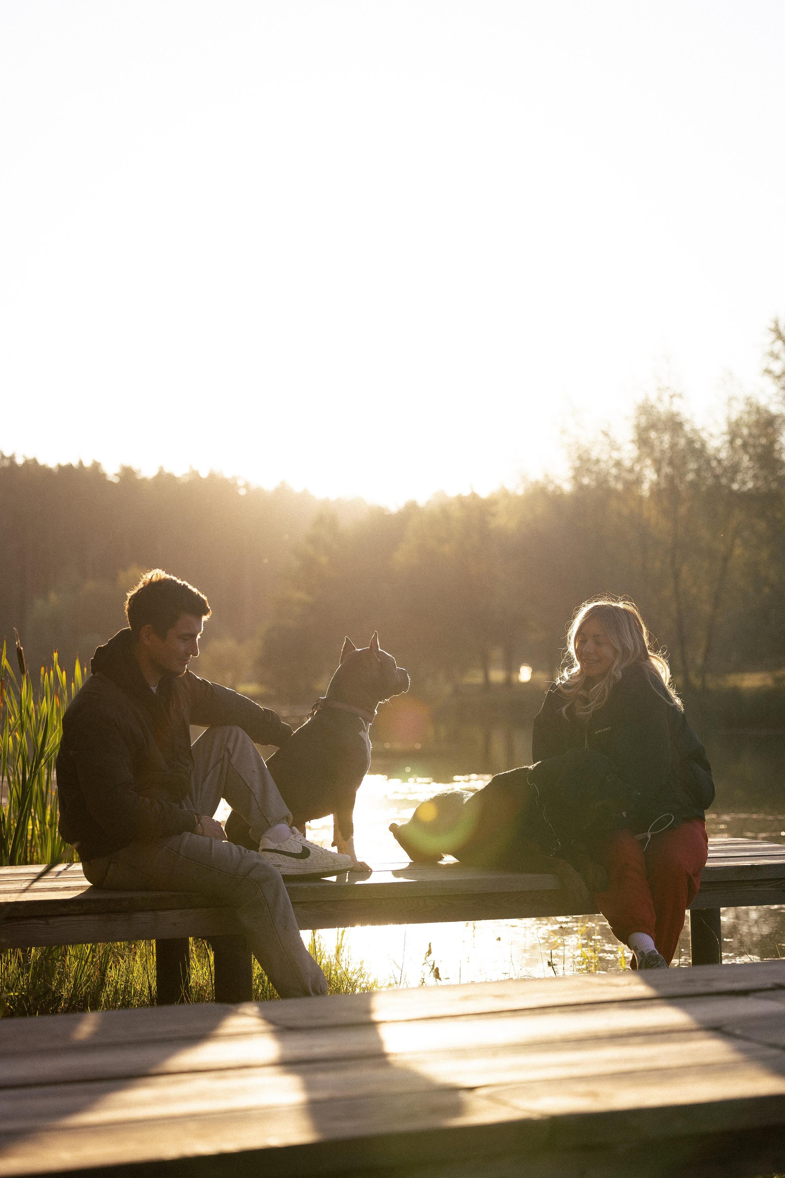 Катя, Леша, Лея и Трой. Фотограф и видеограф анималист Аганина Дарья