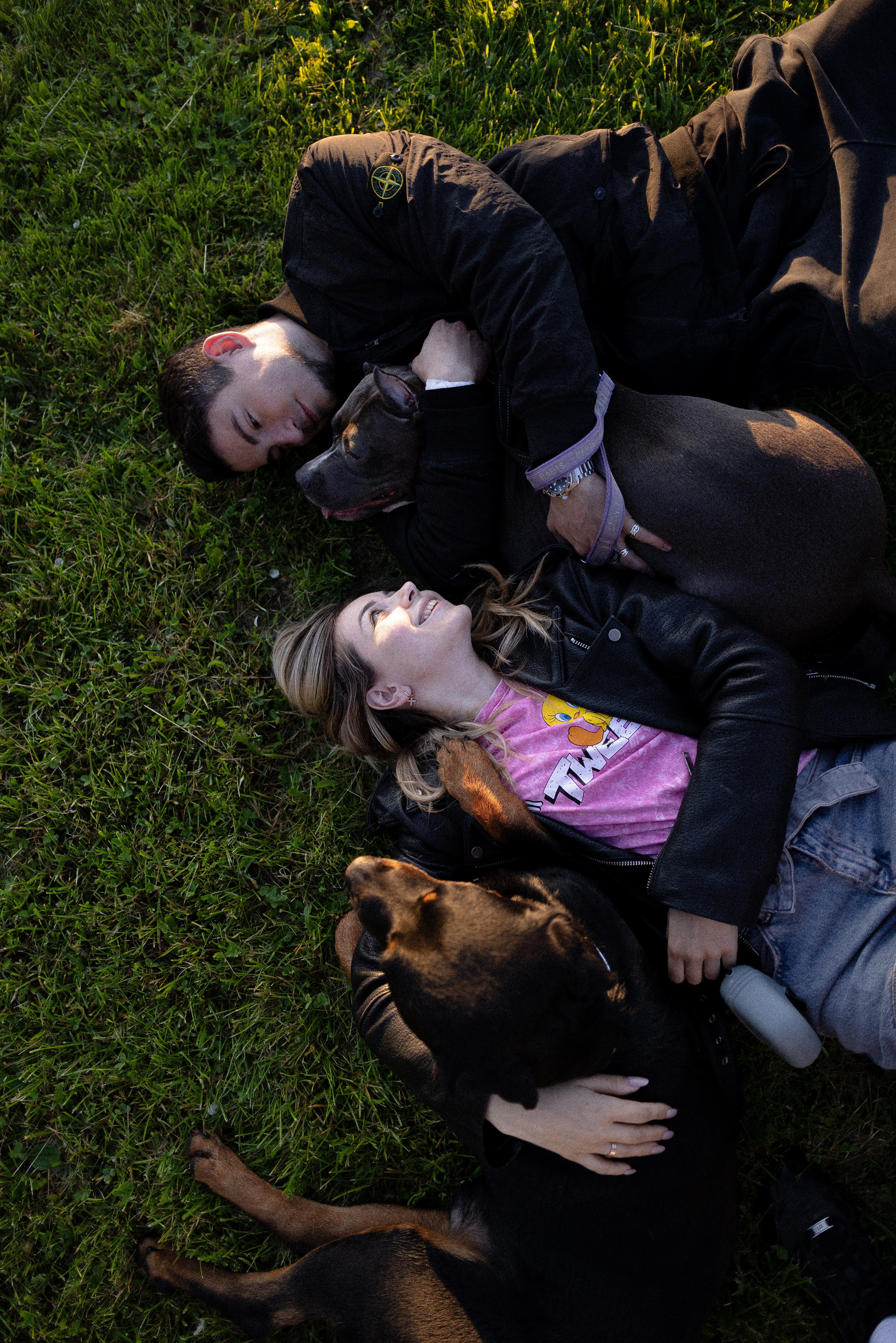 Катя, Леша, Лея и Трой. Фотограф и видеограф анималист Аганина Дарья