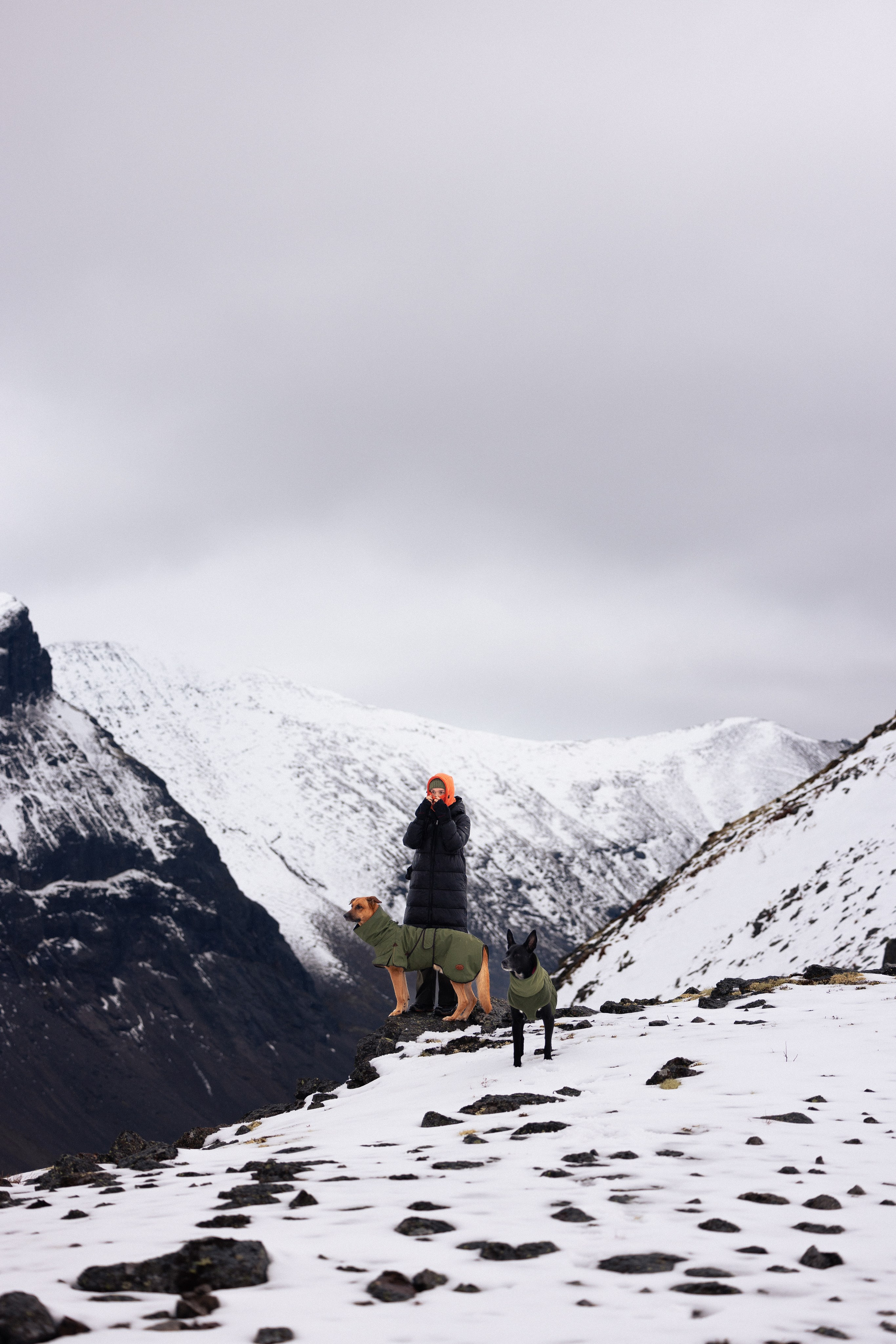 Кольский. Фотограф и видеограф анималист Аганина Дарья