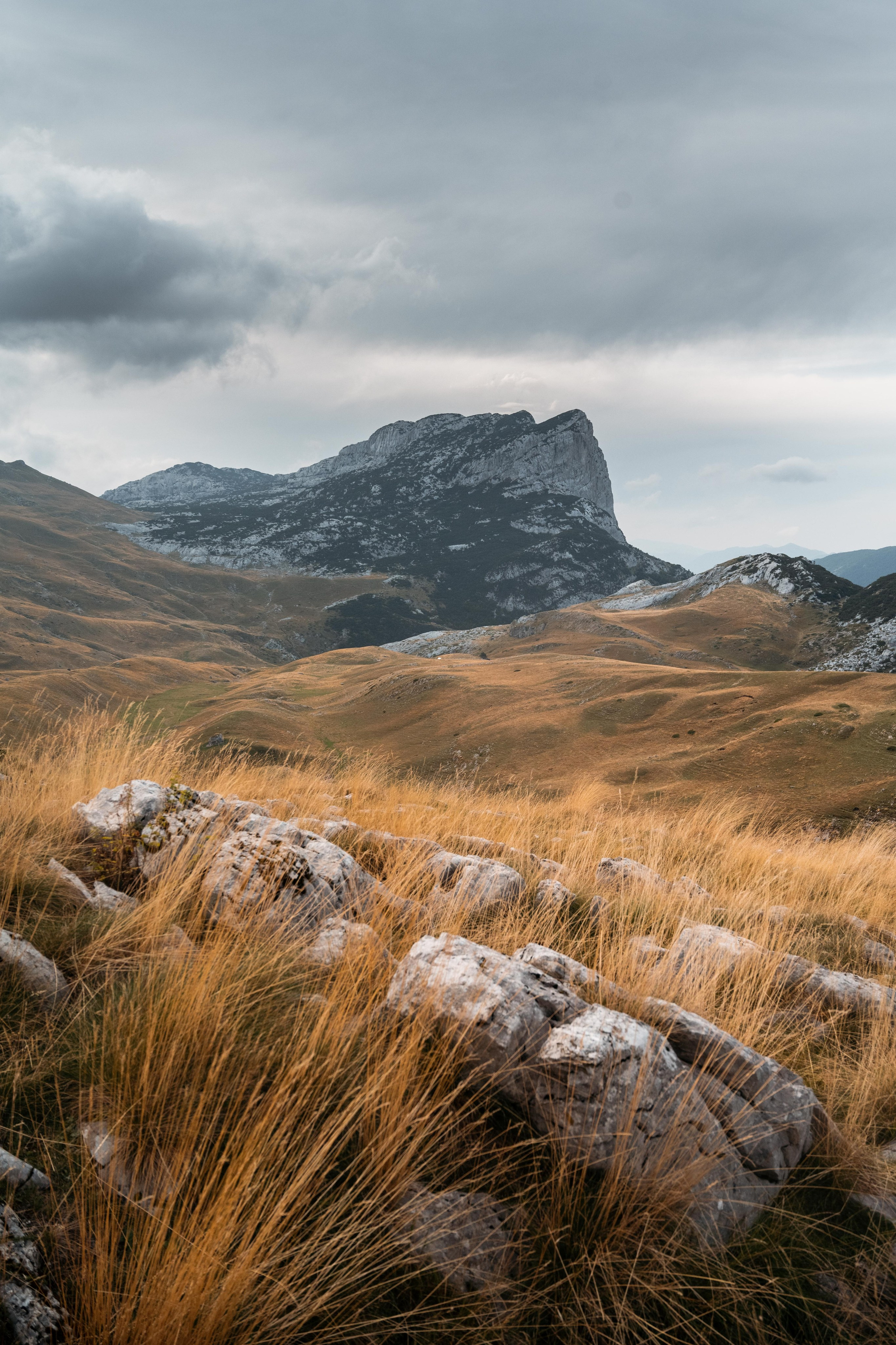 ПРУТАЖ. ЧЕРНОГОРИЯ. Фотограф в Белграде Чугреева Елена