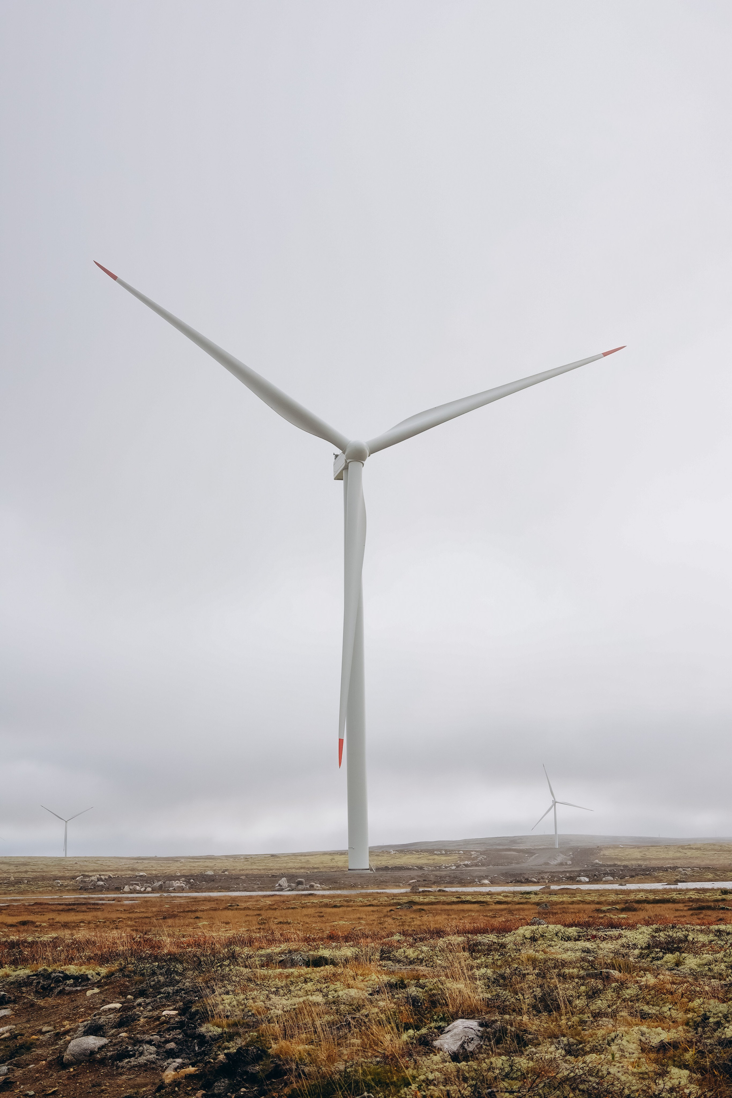 СЕВЕР. Event фотограф Степанова Александра