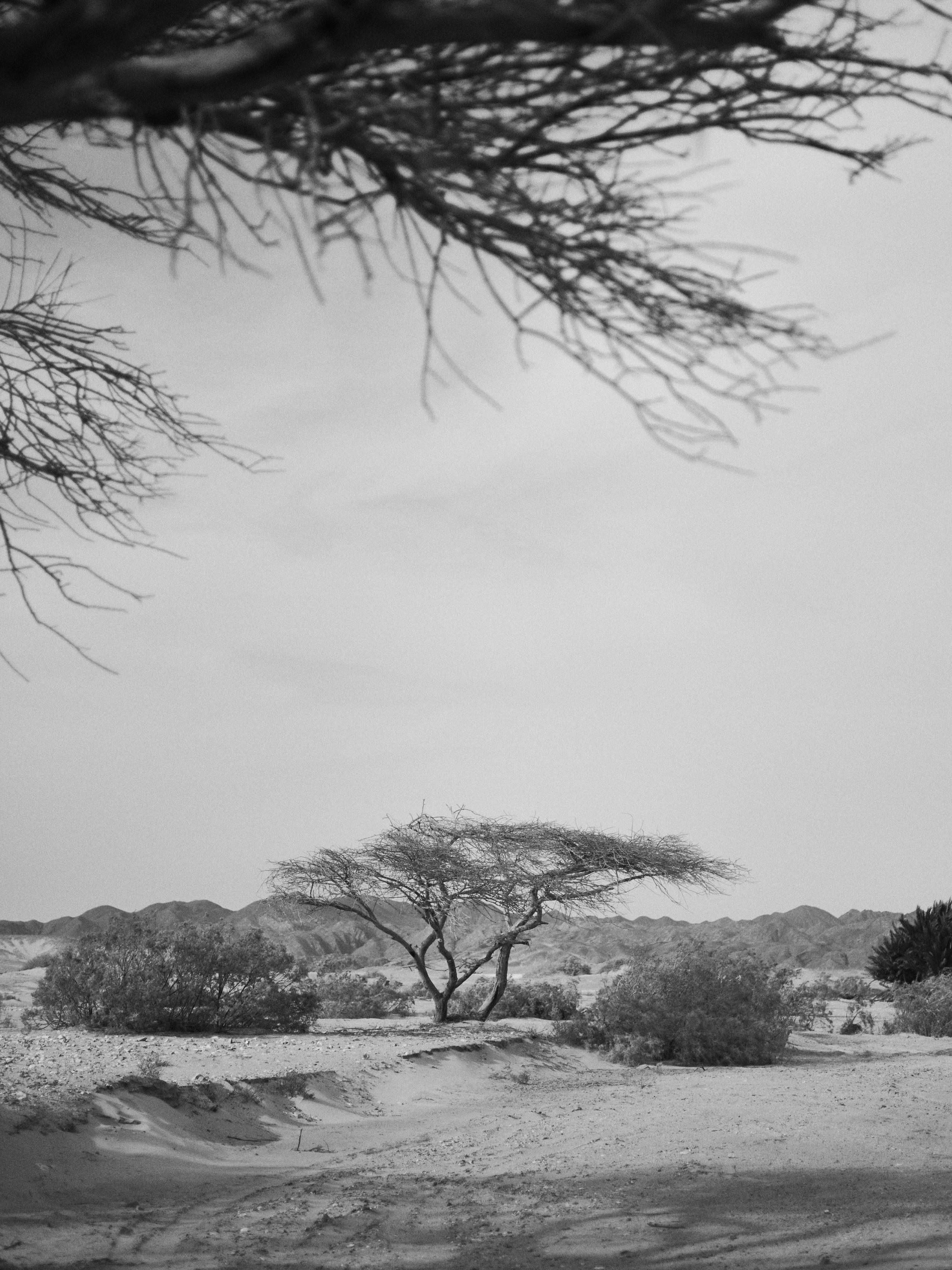 B&W. Jorgis — фотограф в Хургаде / обучение фотографии