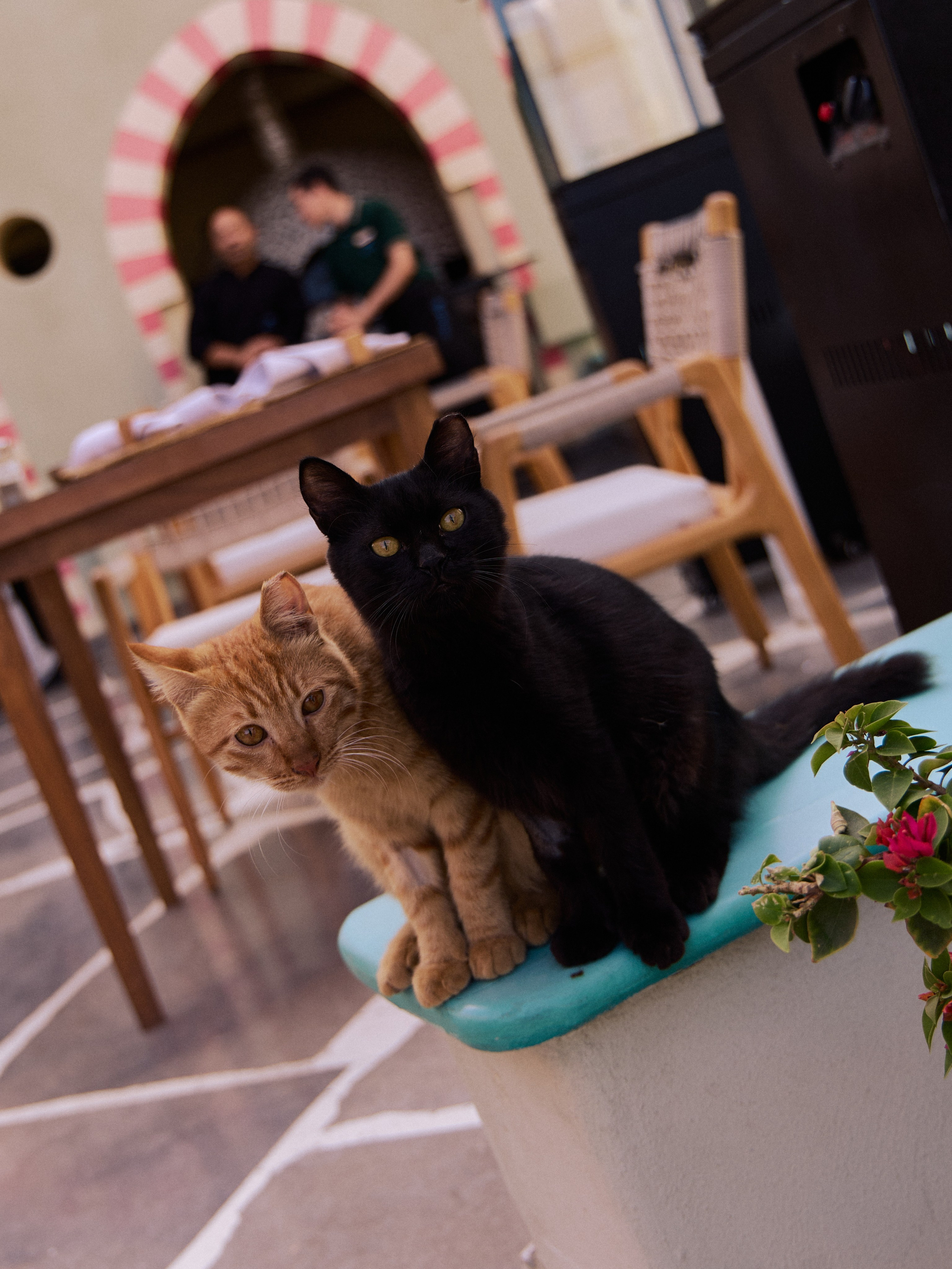 Другое 3. Jorgis — фотограф в Хургаде / обучение фотографии