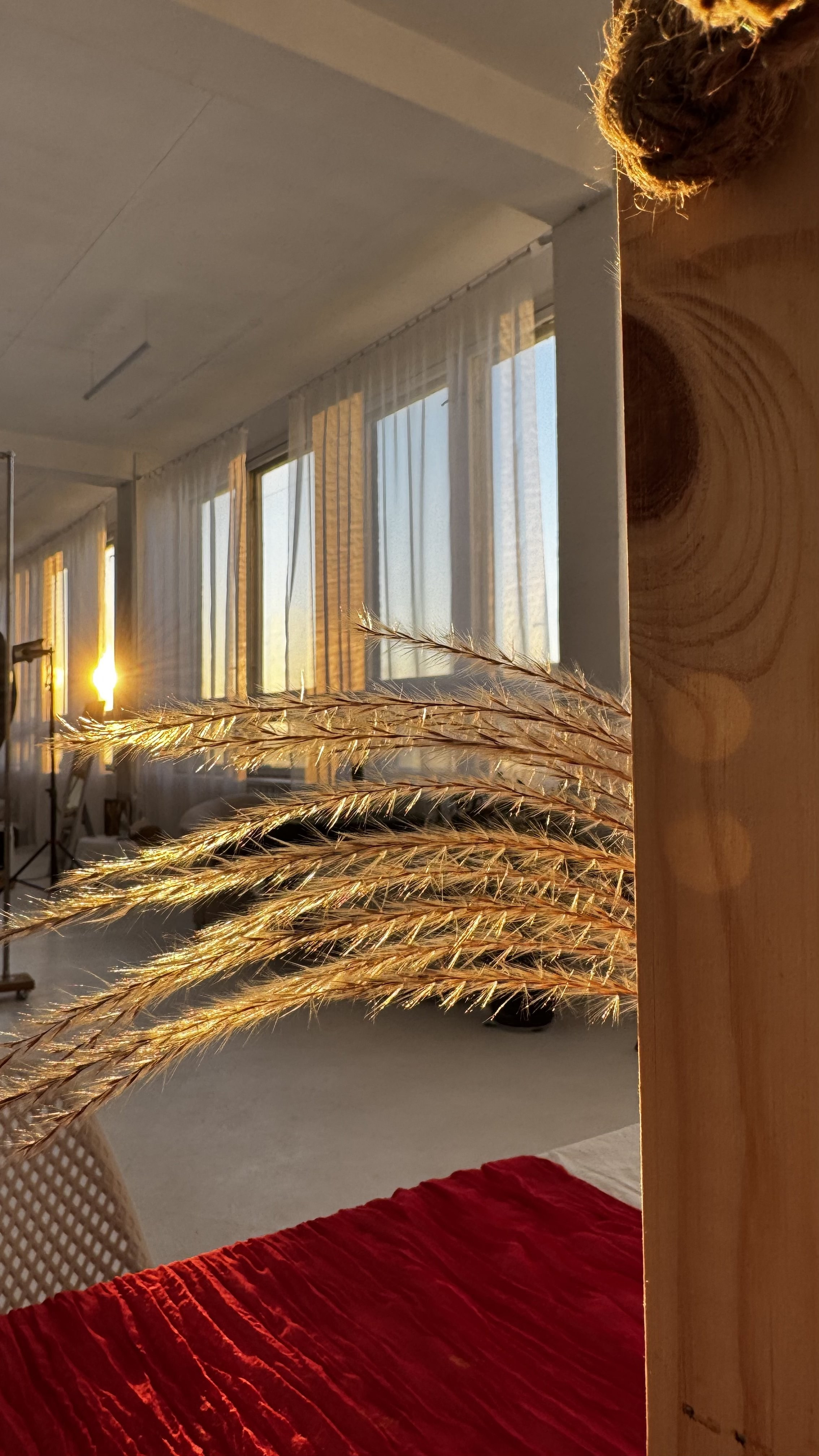Фотостудия «LIGHT ROOM», творческое пространство с полноценной кухонной зоной в Бресте