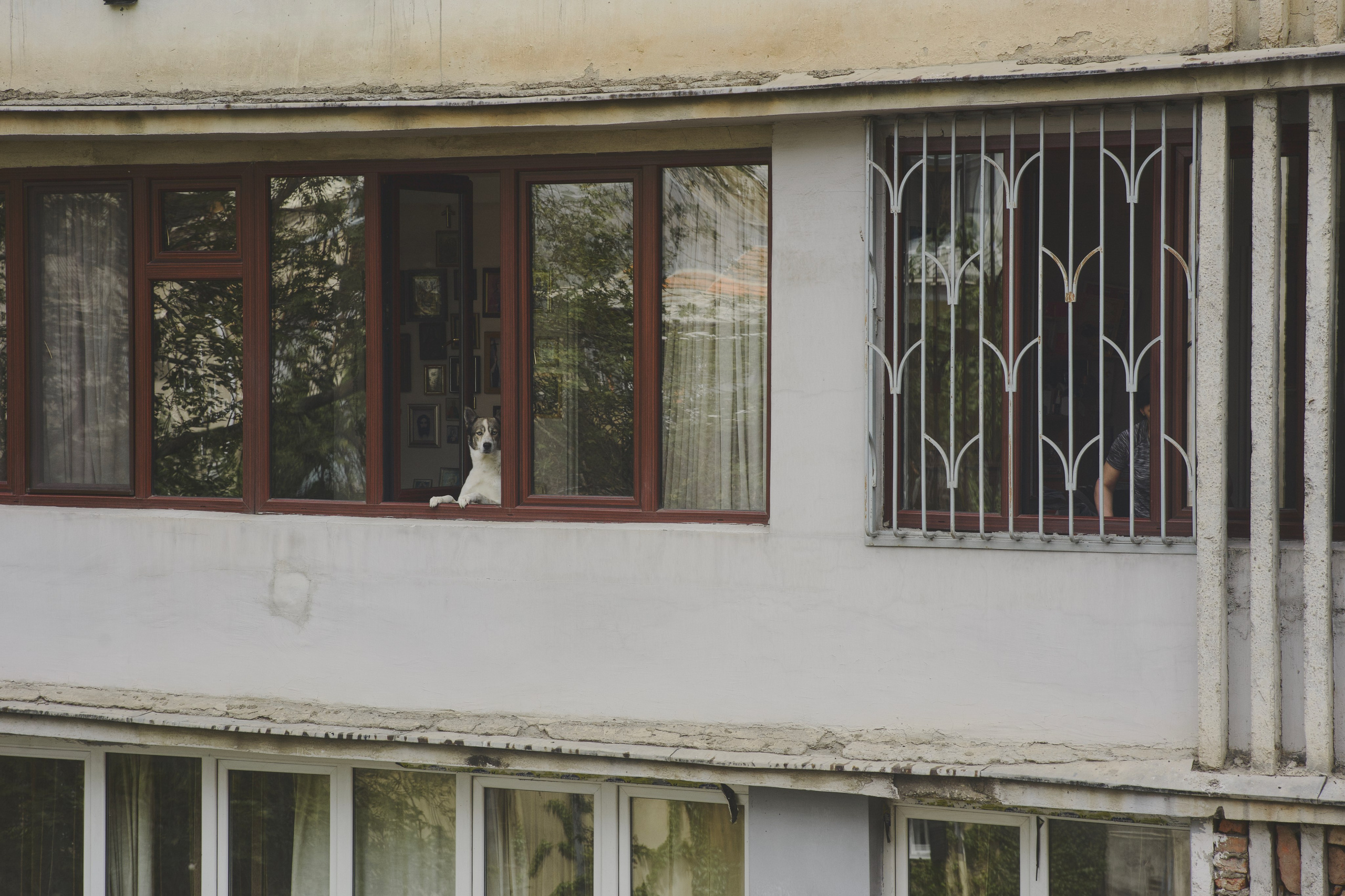 Путешествие в Грузию. День четвертый. Тбилиси. Илья Антропов: фотограф и документалист. Портрет, документалистика, бизнес, видео, AI