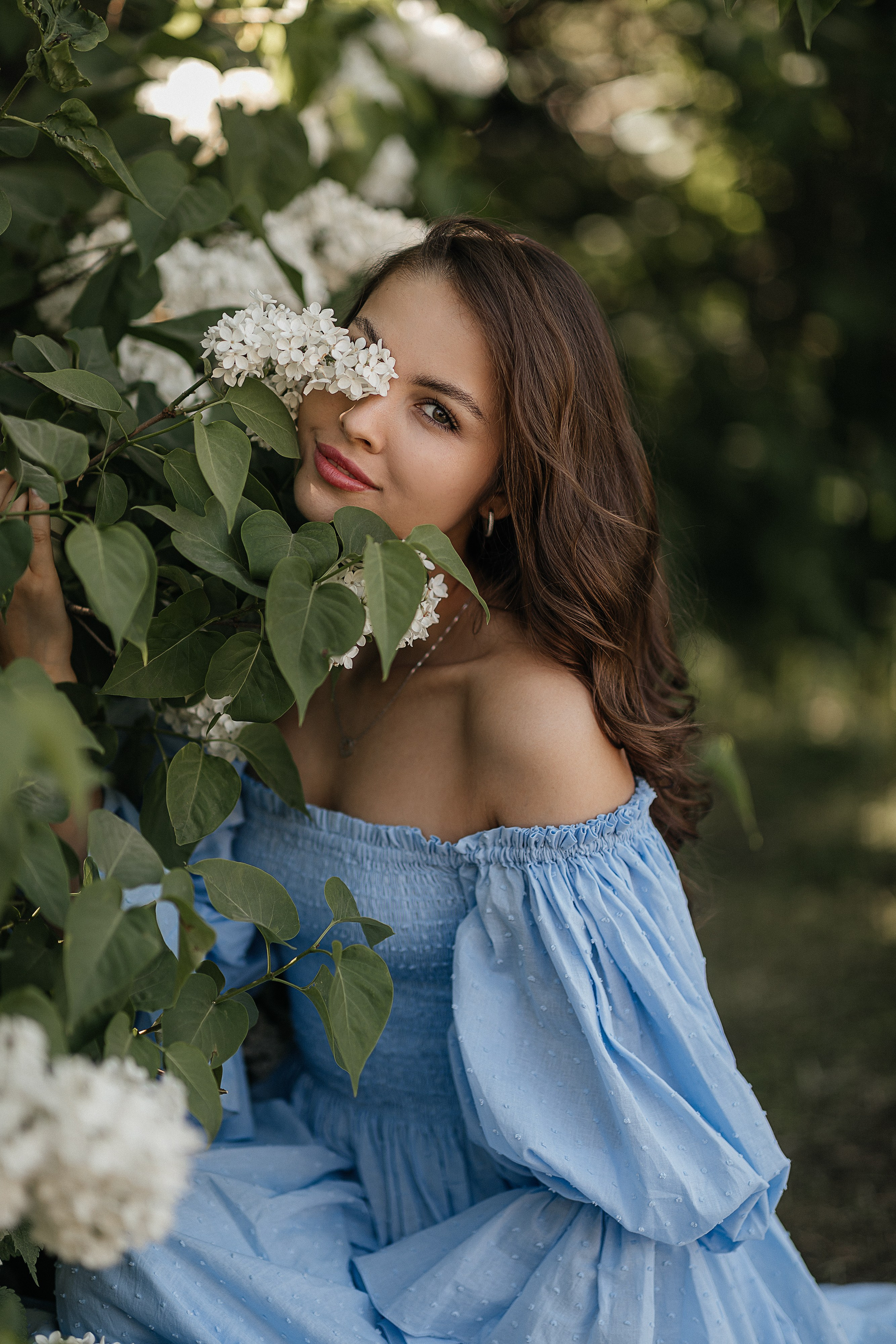 Сирень Азиза. Фотограф Москва