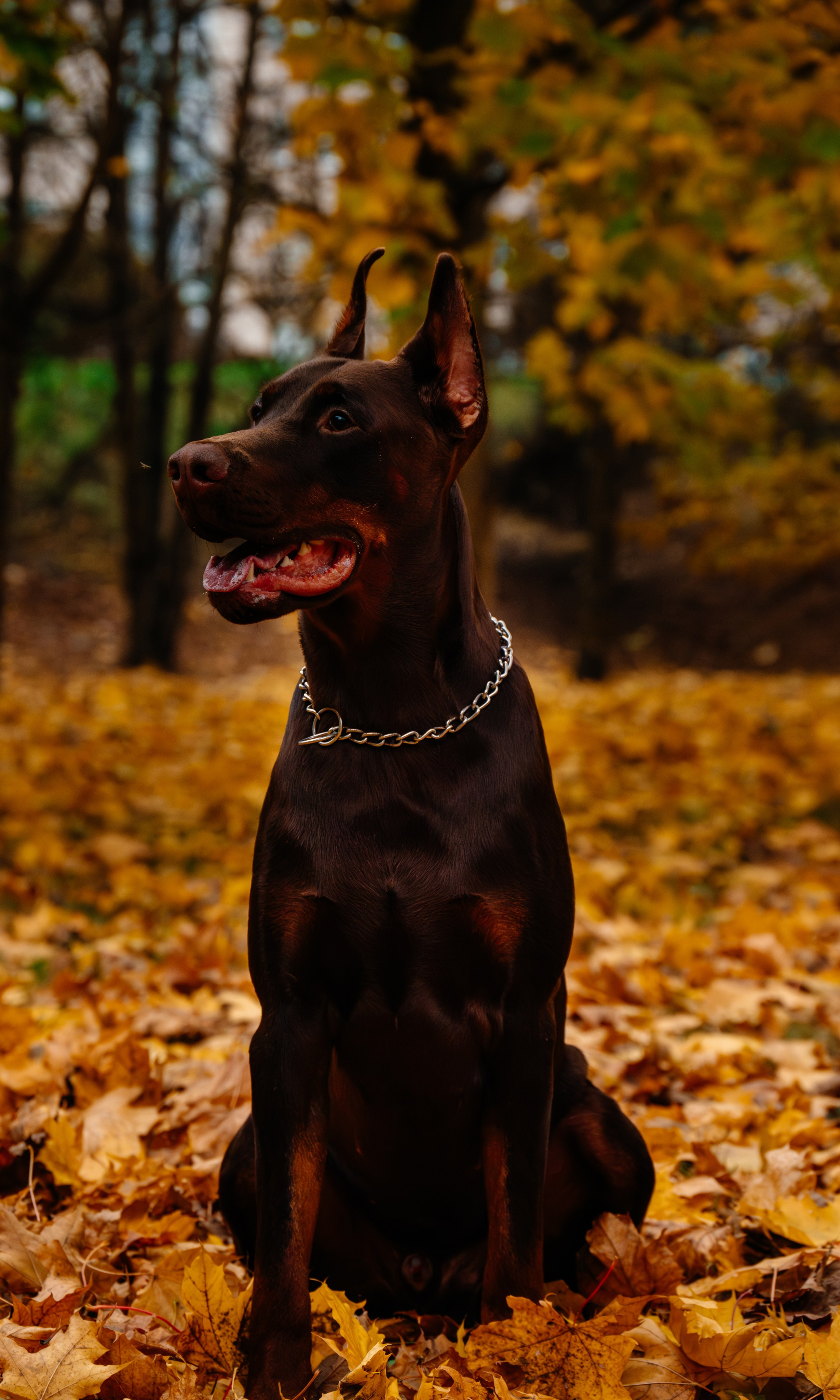 Семья Стенцель. Юлия Чайко, фотограф в Минске