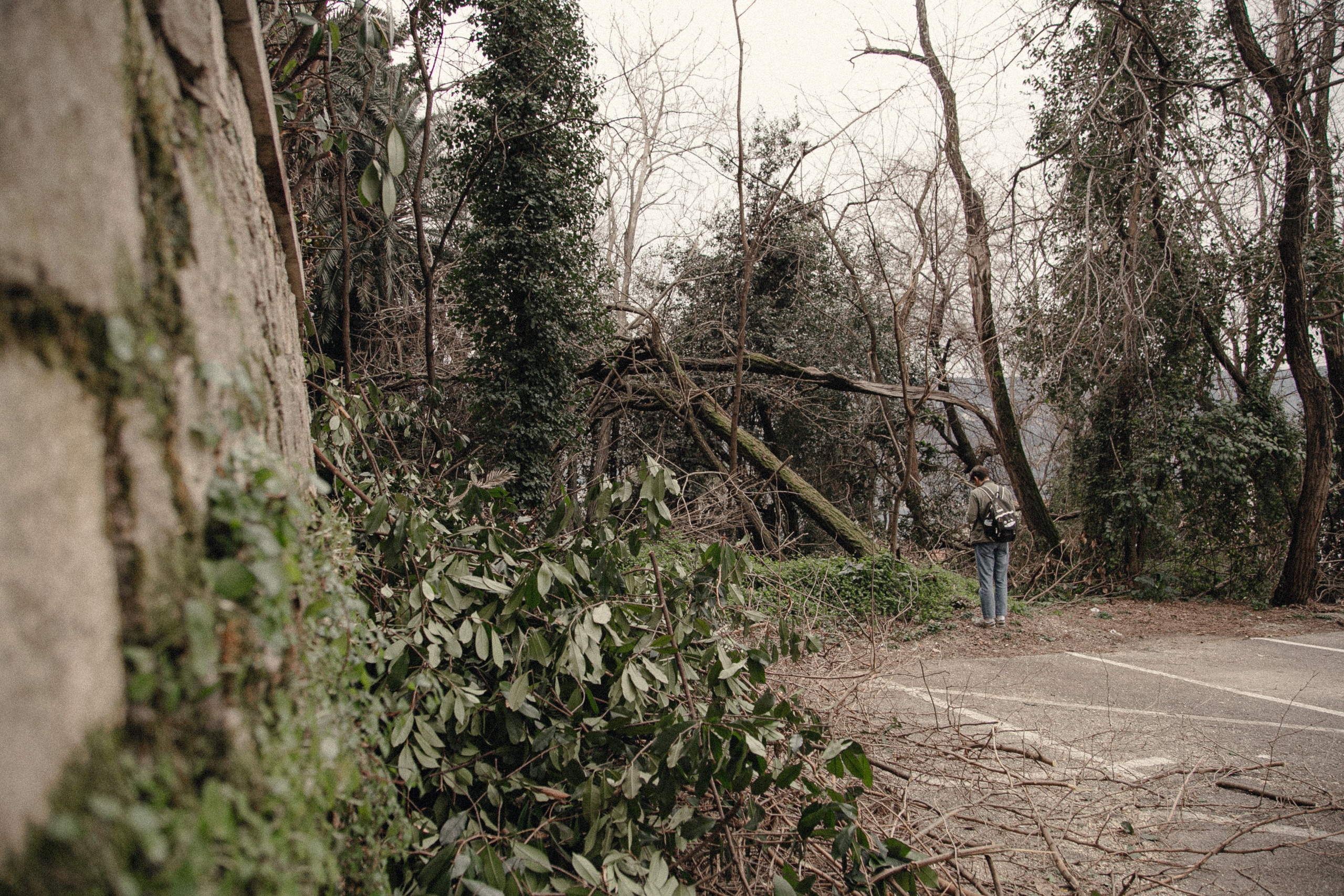 Мужская фотосессия. Семейный и свадебный фотограф в Черногории Татьяна Белякова