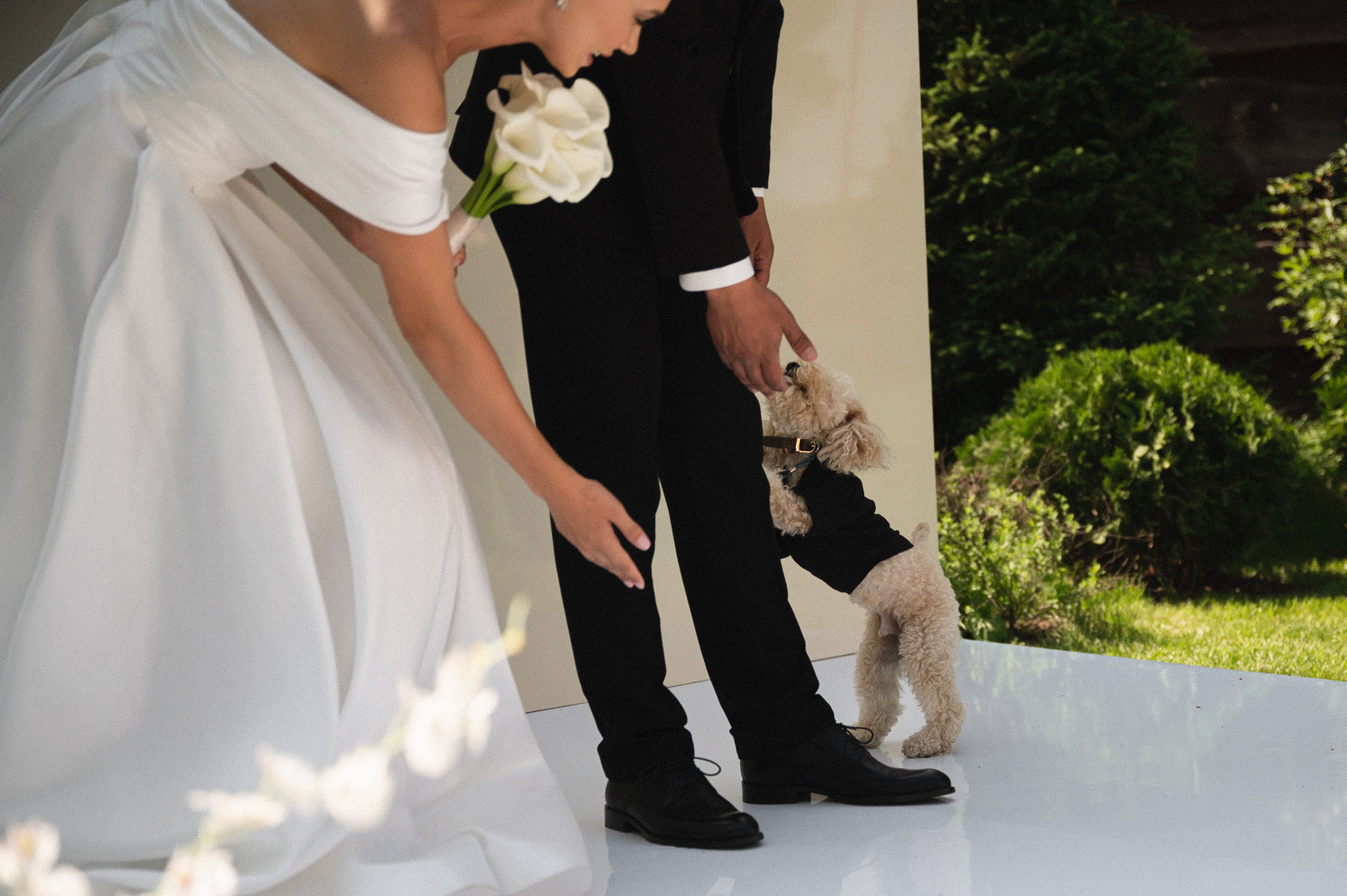 Самой лутшей тете:) Ирина и Роман. Свадебный фотограф Наталья Доронина