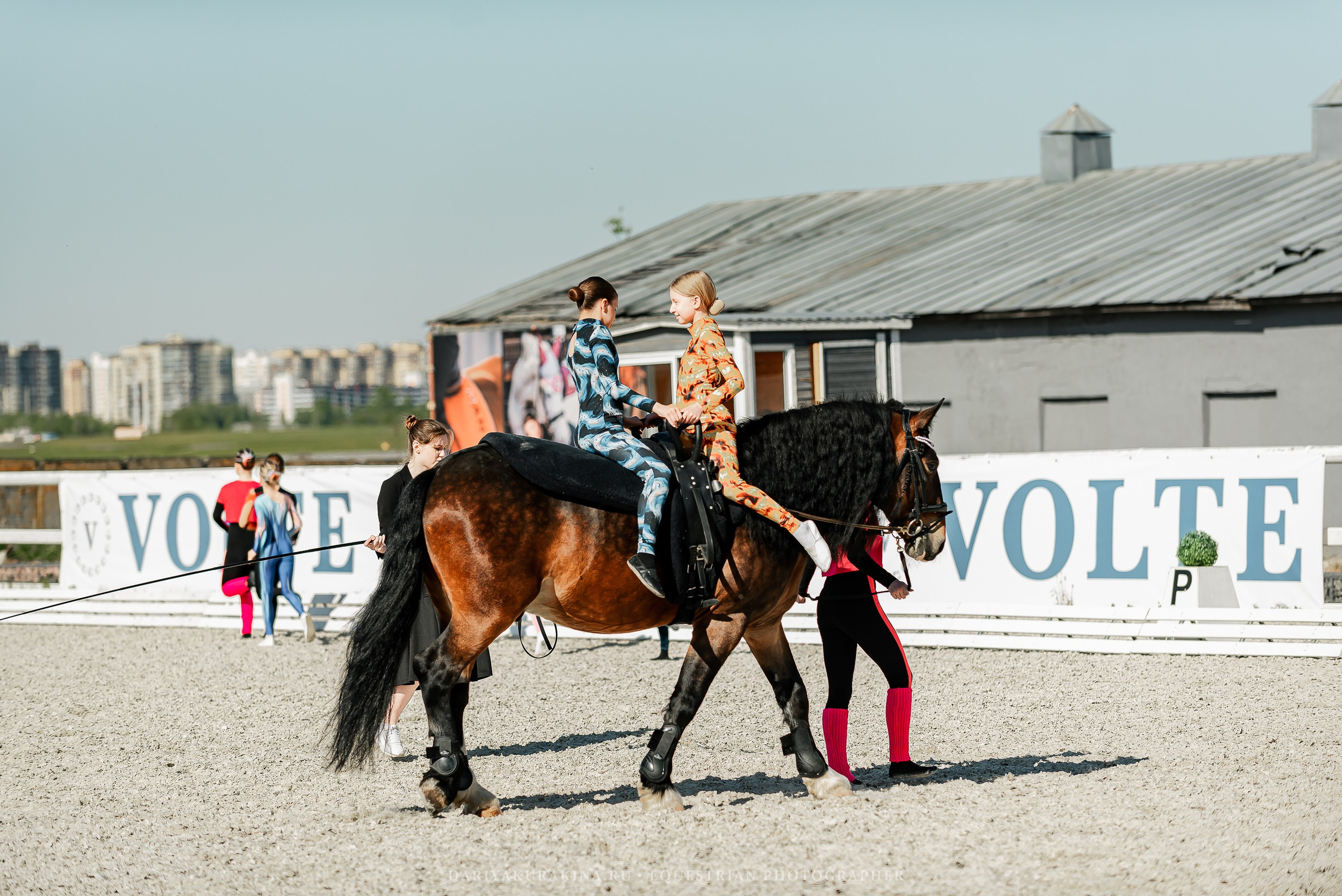 РЕПОРТАЖ МКК ВОЛЬТ «LA TULIPS». Конный фотограф Куракина Дарья • Фотосессии с лошадьми