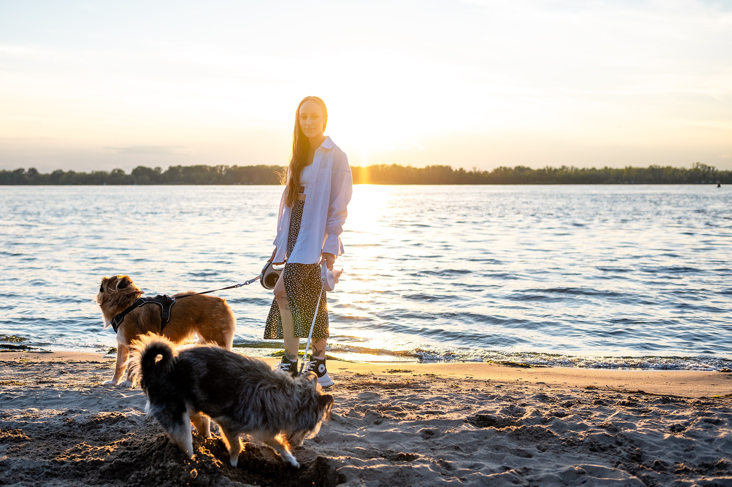 Лиза, Клопа и Хрюша. Главная
