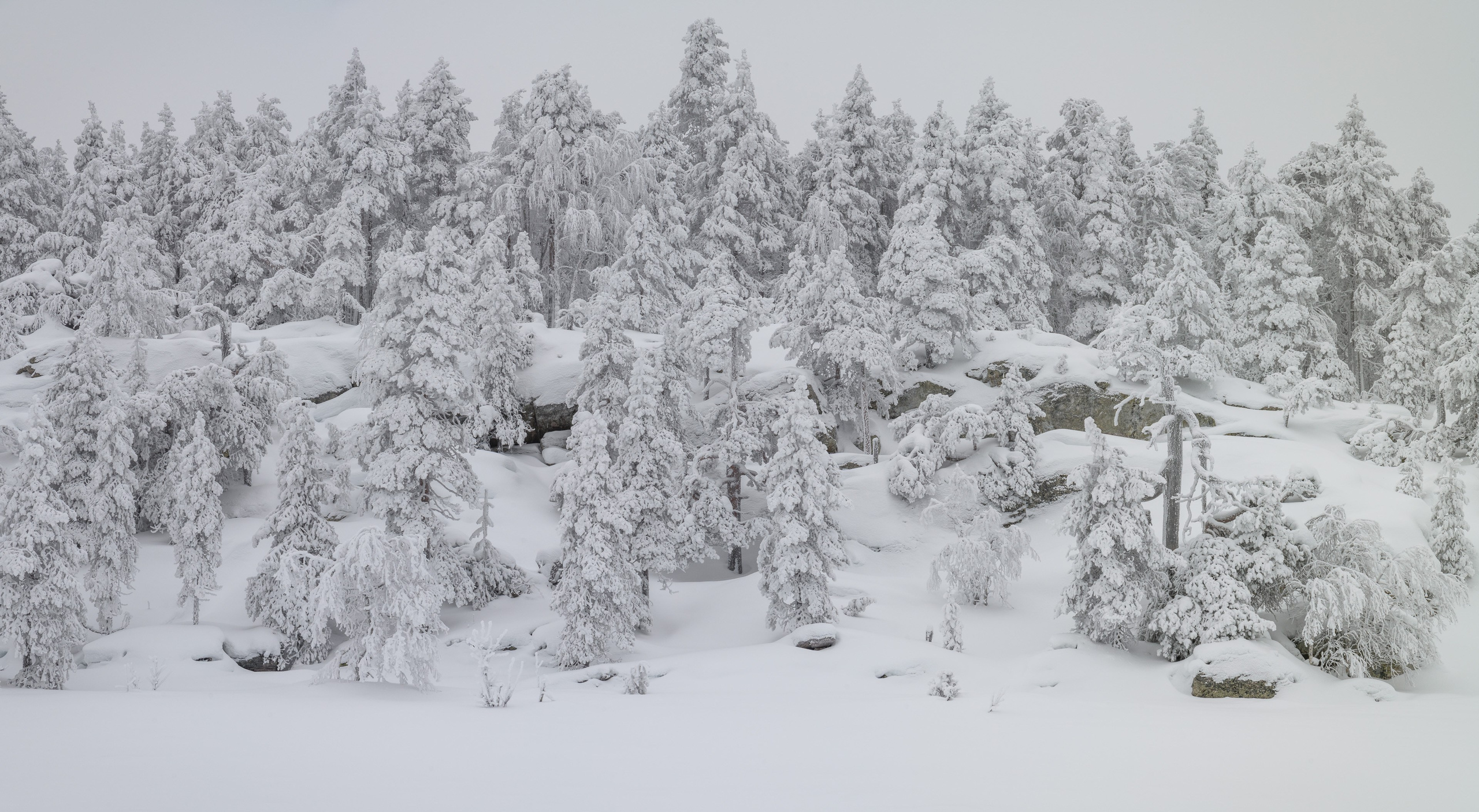 Зима. Северные Ночи