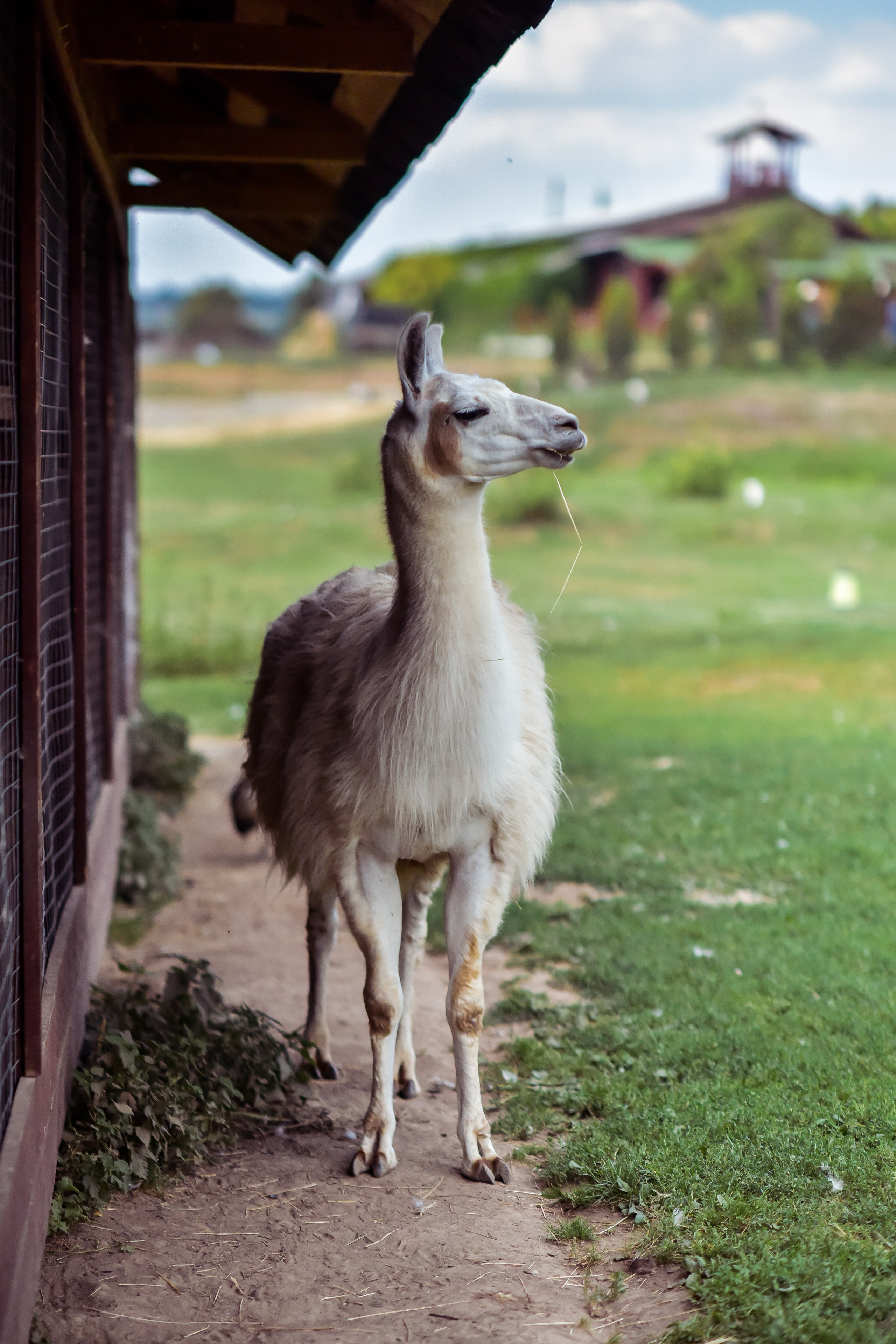 РАНЧО/ АВГУСТ. Фотограф для бизнесконтента, репортажей и семейного альбома в Москве