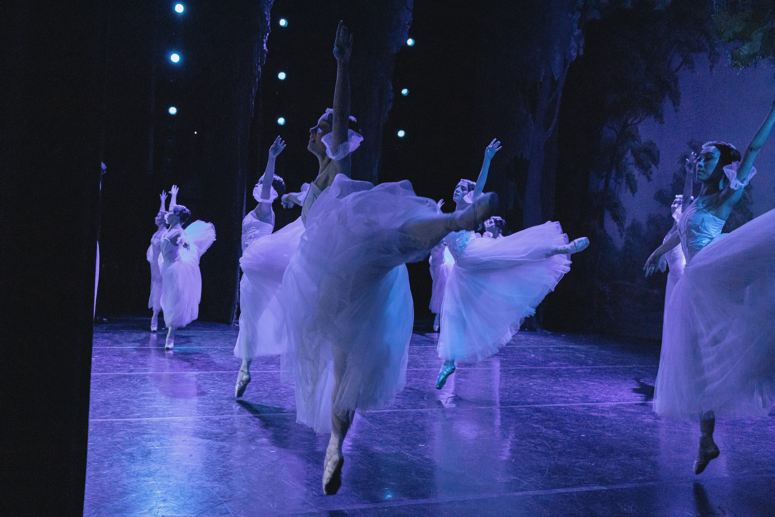 Концерты. Семейный фотограф в Абакане Любовь Халявина