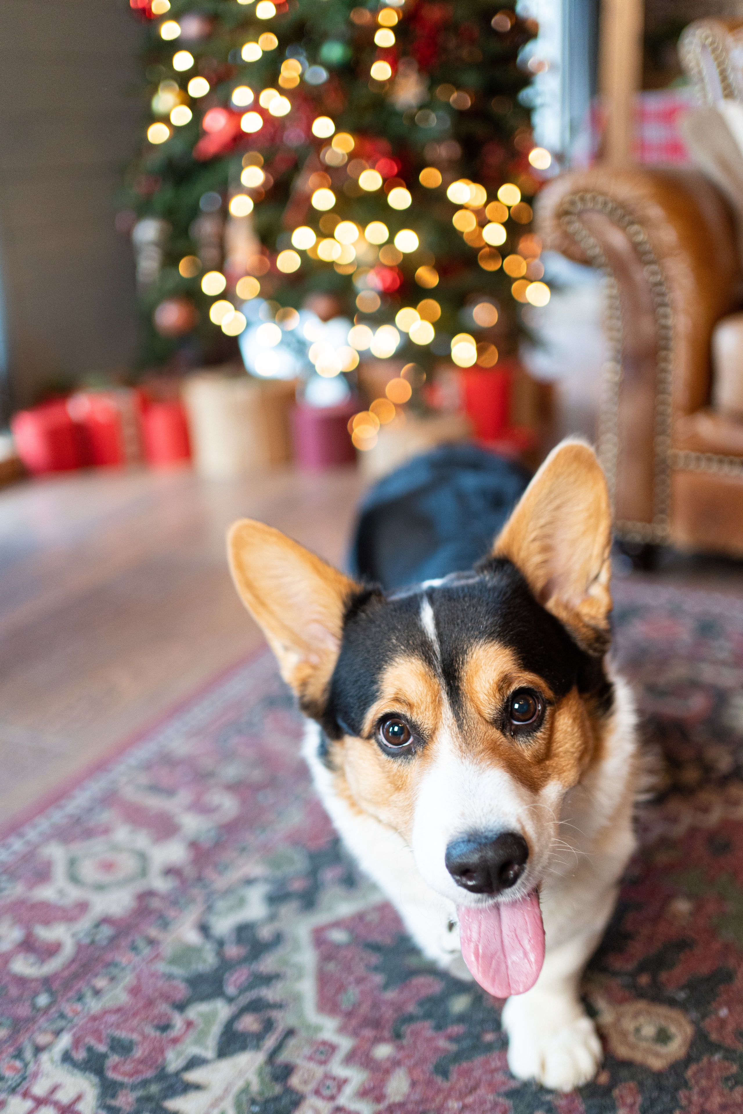 Новогоднее шале. Главная