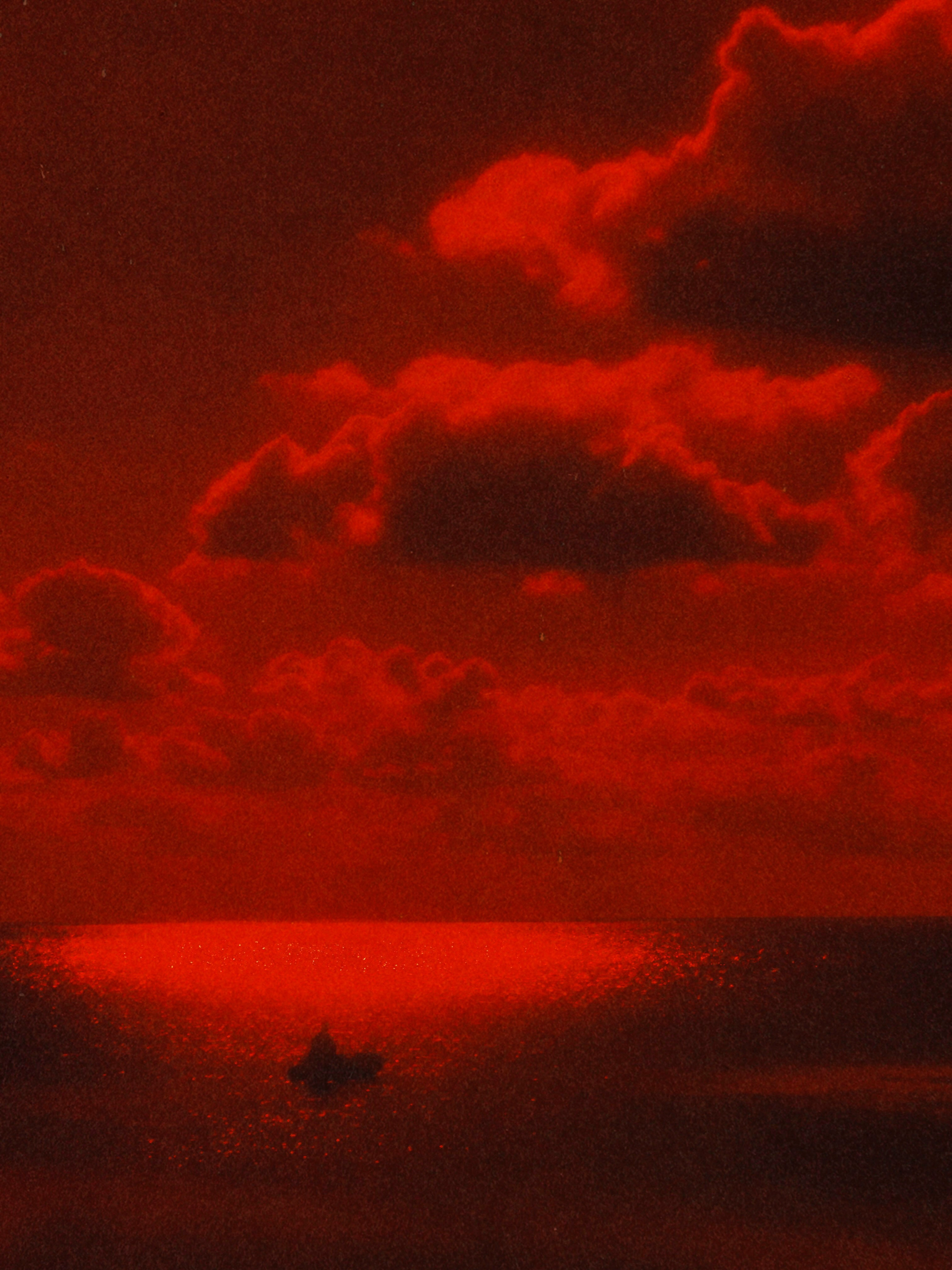 DISTURBING BEAUTY. Evgeniia Mikheeva — International visual artist