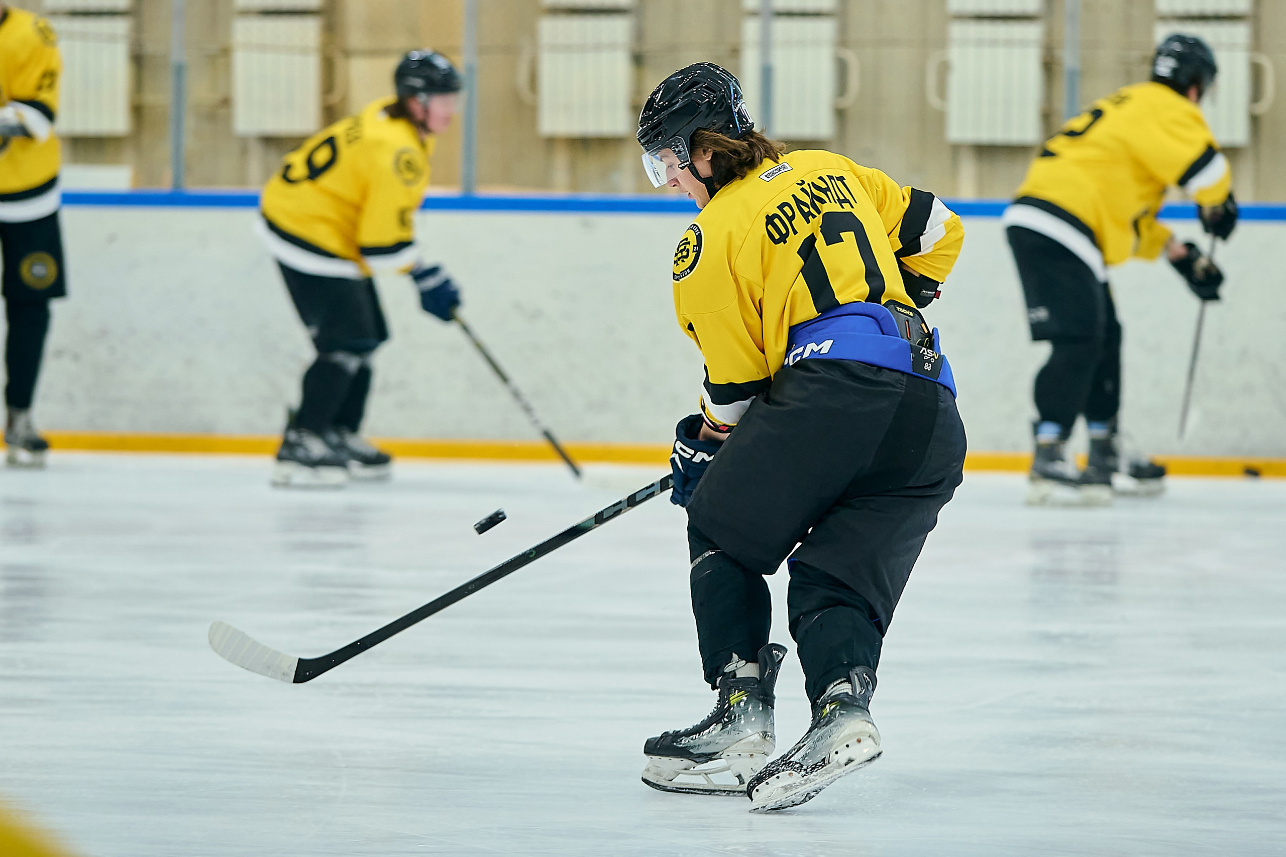 Хоккейная история