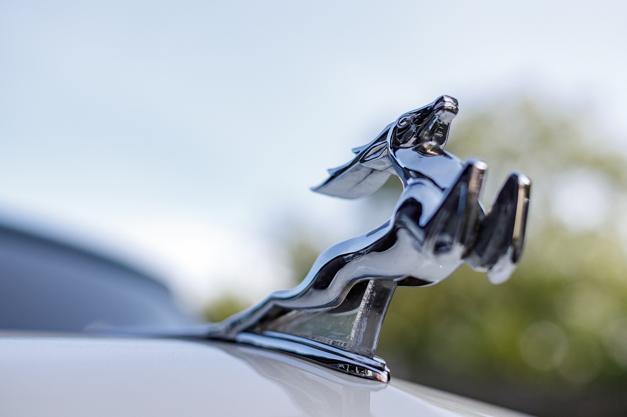 Сделано в СССР. Боченков Вадим | Фотограф в Пскове и Санкт-Петербурге