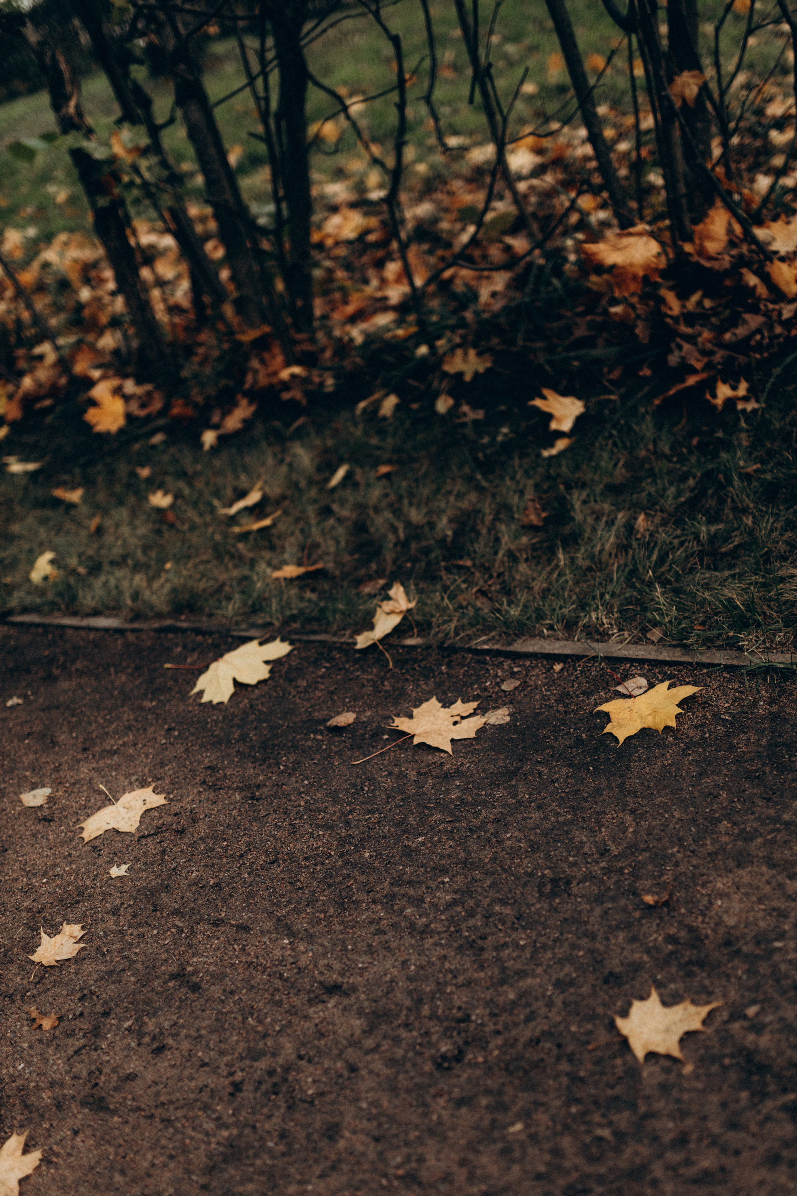 Виктория. Фотограф НОГИНСК, Москва, Анастасия Белая