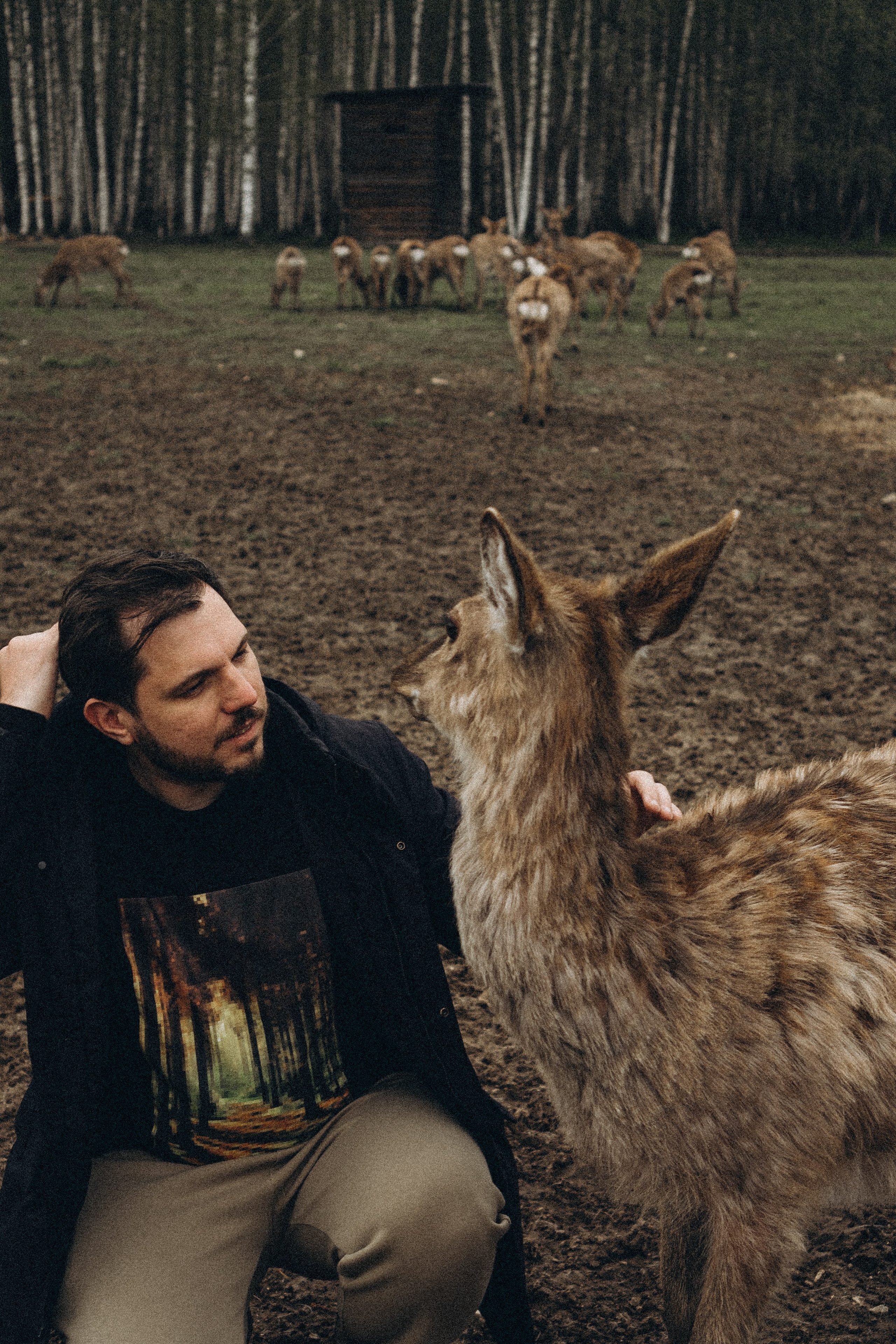 ОЛЕНЬЯ ФЕРМА В ТВЕРИ. Профессиональный фотограф, Санкт-Петербург — Виктория Богомолова