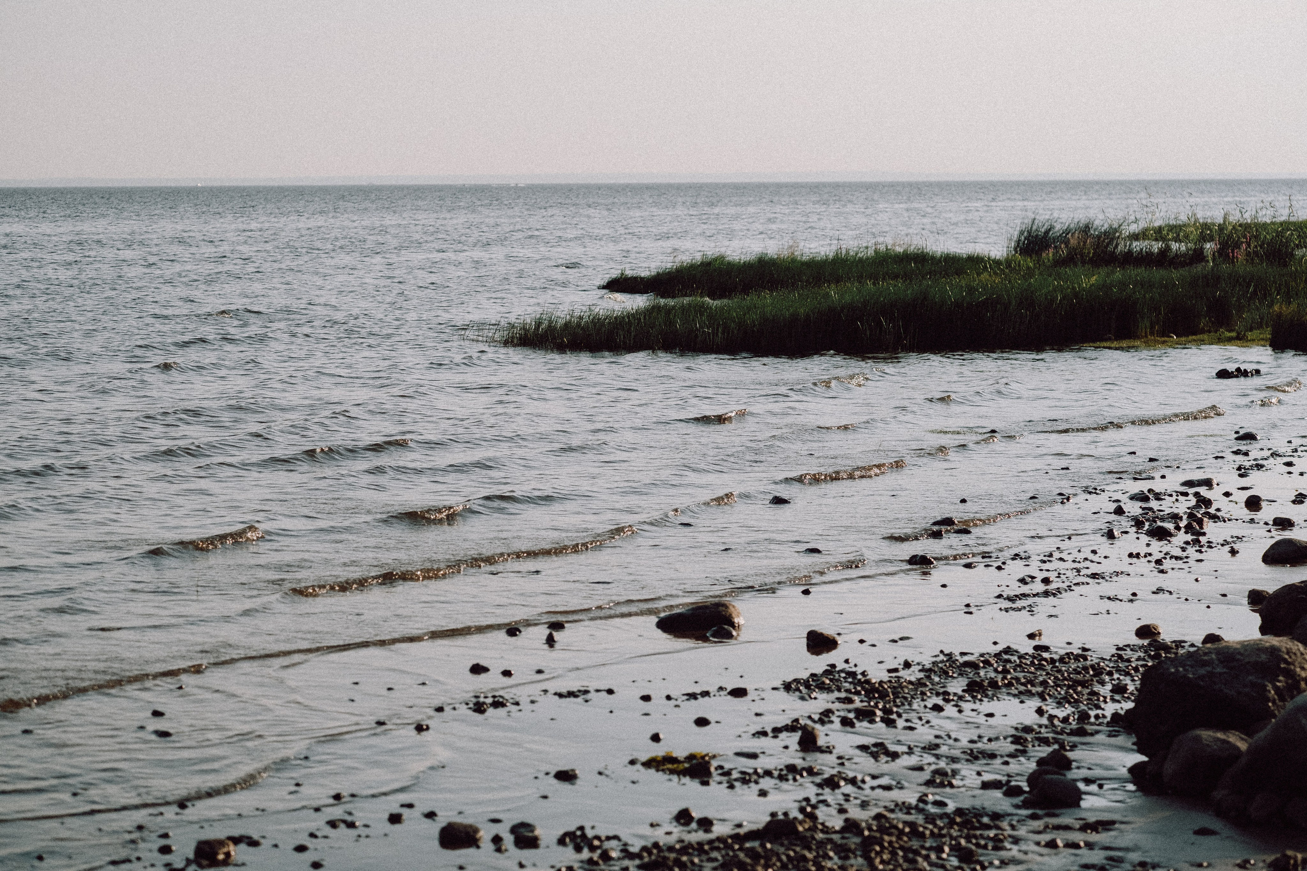 СВАДЕБНАЯ ФОТОСЕССИЯ ВЫЕЗДНОЙ ЦЕРЕМОНИИ (ФИНСКИЙ ЗАЛИВ). Профессиональный фотограф, Санкт-Петербург — Виктория Богомолова
