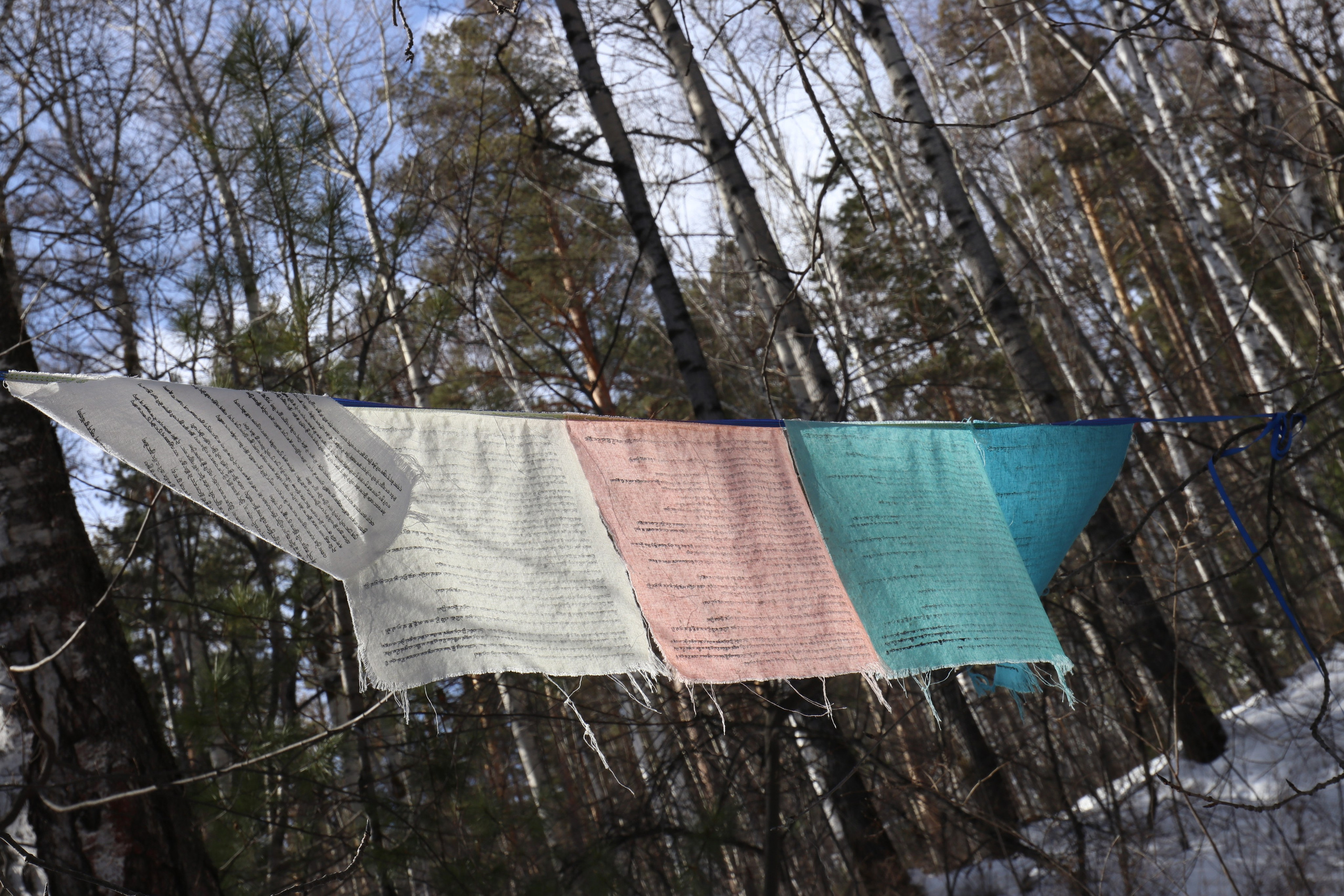 Аршан. Февраль 2025. Путешественник-фотограф из Санкт-Петербурга Татьяна Свистулина