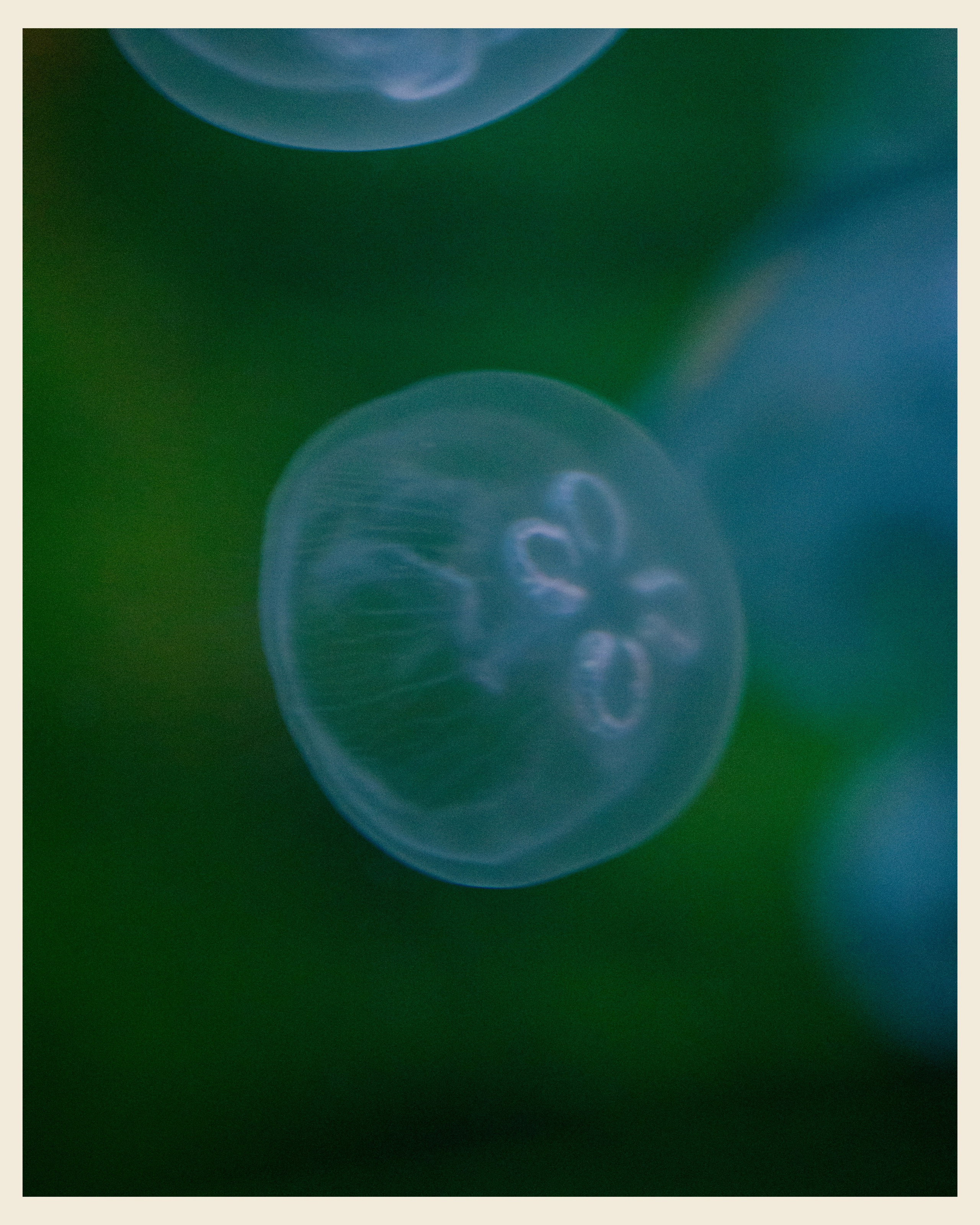 AILAND x VANO. Ivan Petrov photographer