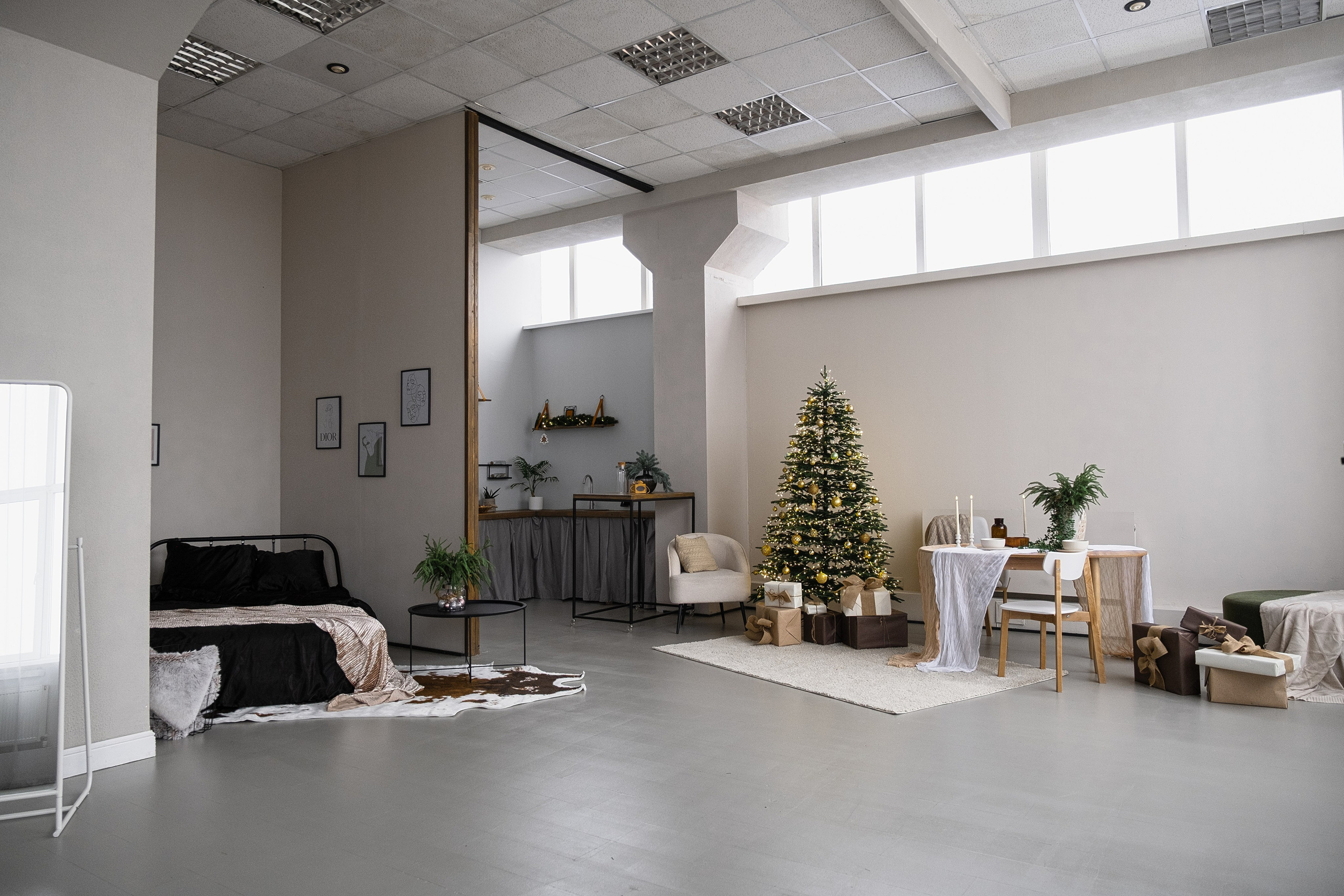 Karl Новогодний от 1500 руб. час. 5loft Фотостудия в Ижевске