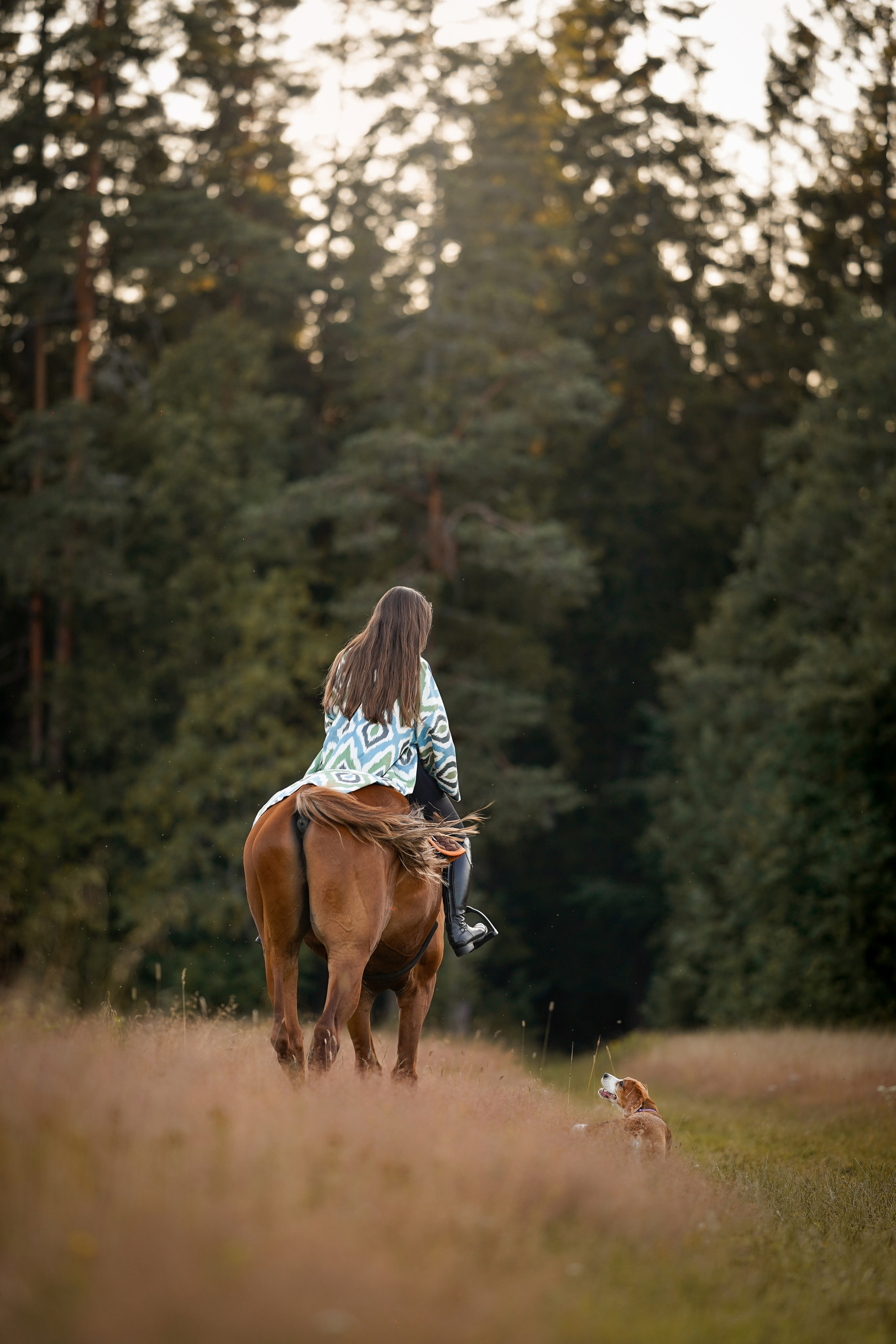 Лера Джон и Диамант. Фотограф-анималист в Санкт-Петербурге Яна Мартынова