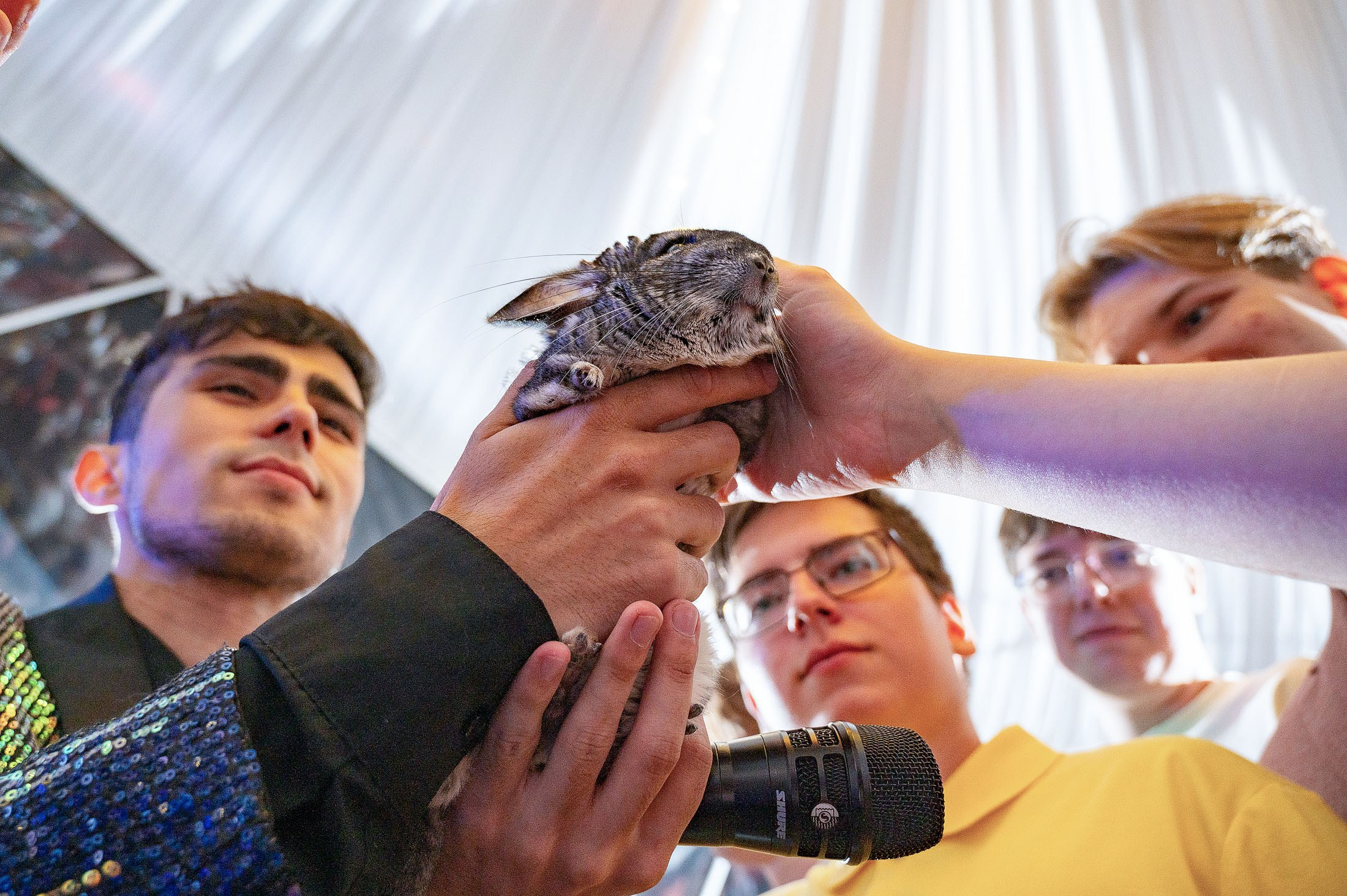 Школьные мероприятия. Детский и школьный фотограф в Королёве Андрей Цимбал