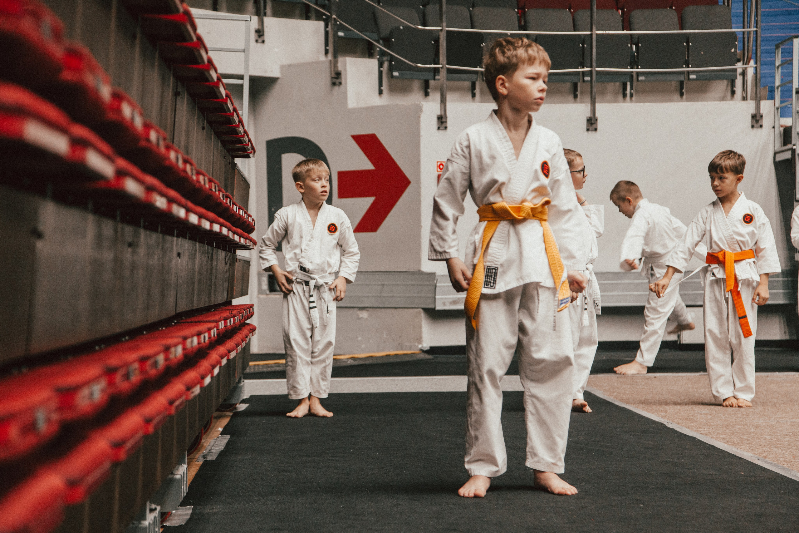 Международный сбор по каратэ в СКК «Сибур Арена». Репортажный фотограф во Всеволожске и Санкт-Петербурге Владимир Капустин