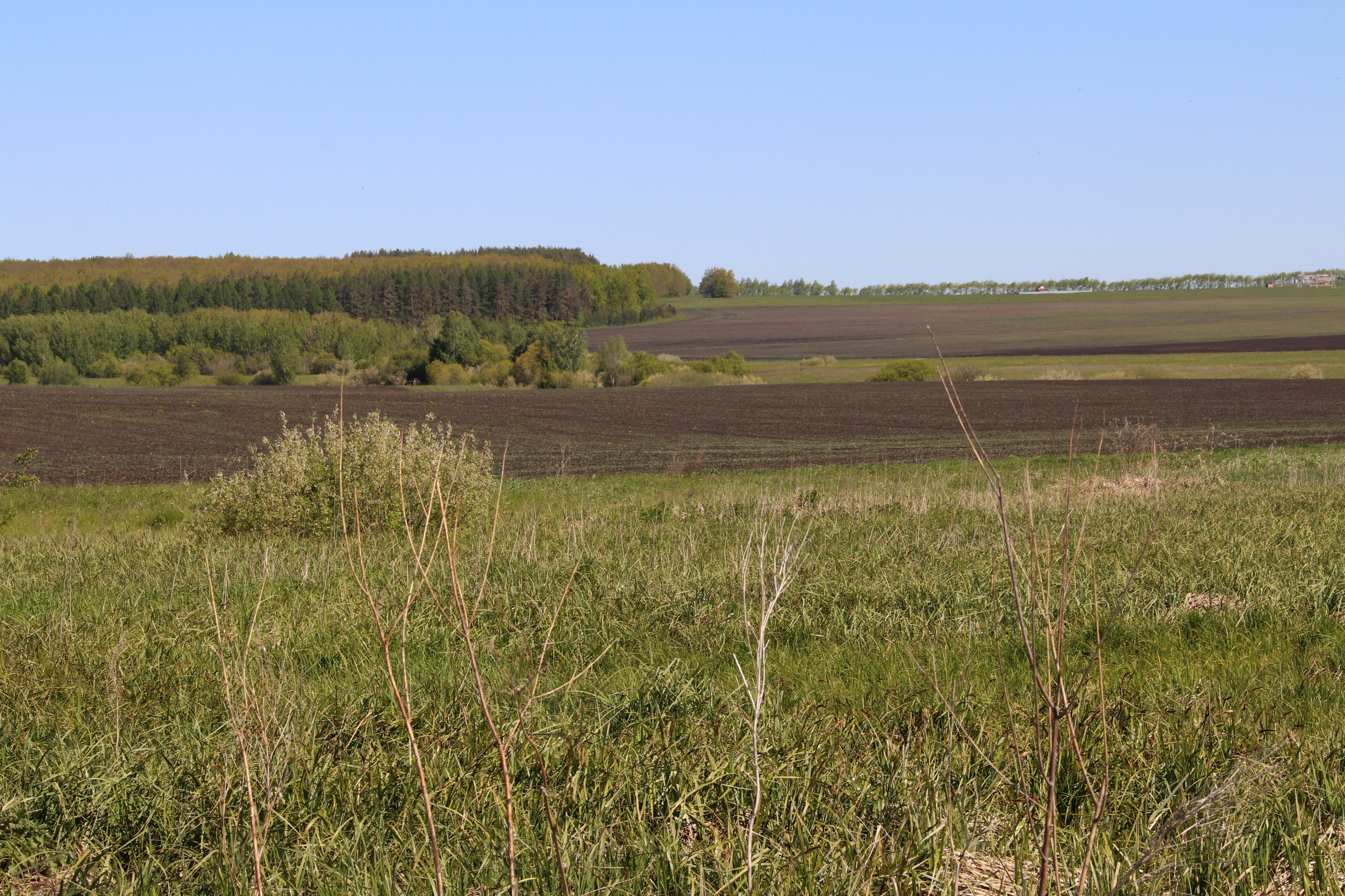 Велопоход Уфа — Мелеуз. Май 2024. Путешественник-фотограф из Санкт-Петербурга Татьяна Свистулина