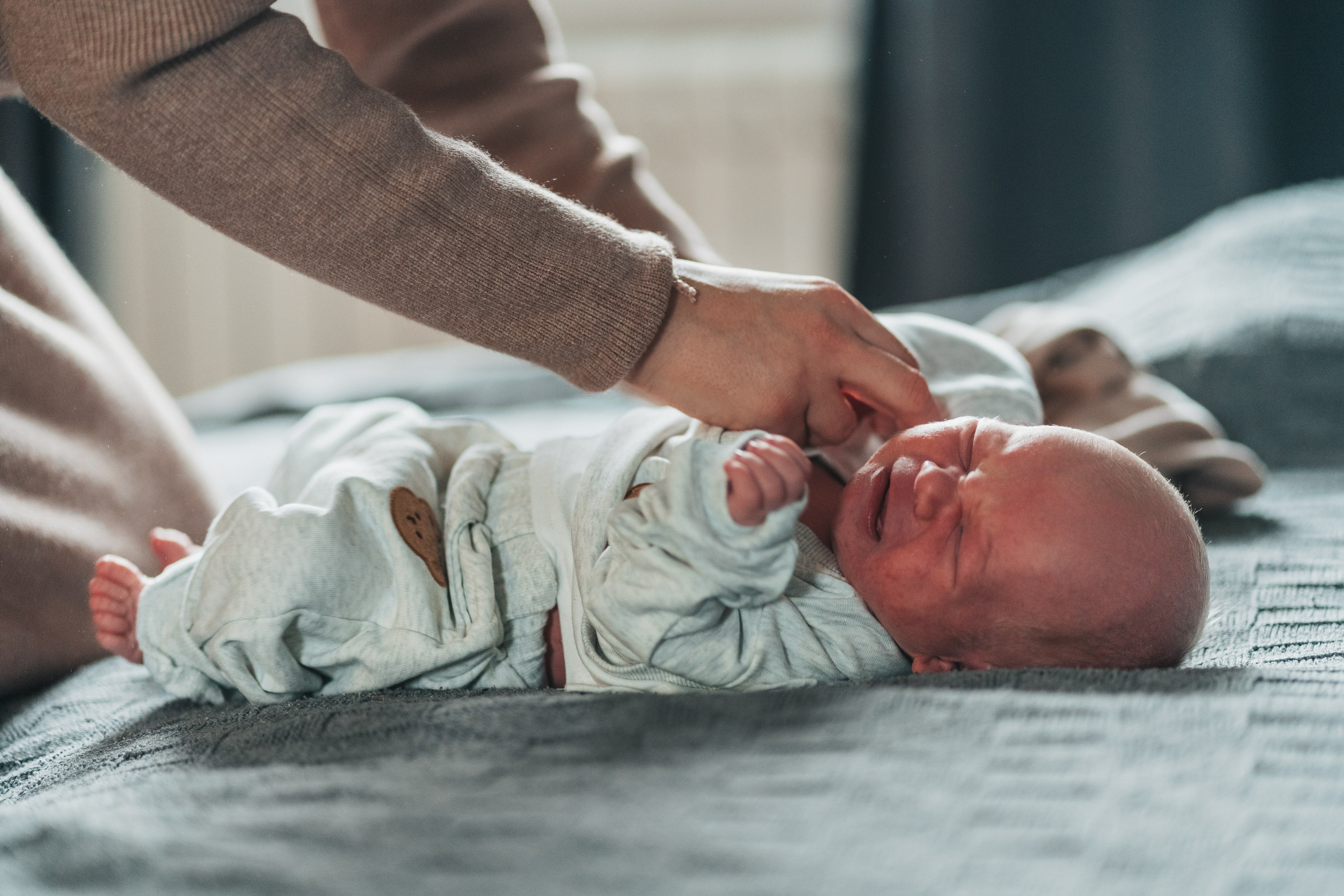 Новорожденные. Школьные альбомы и альбомы для детского сада. Юлия Осипова. Москва