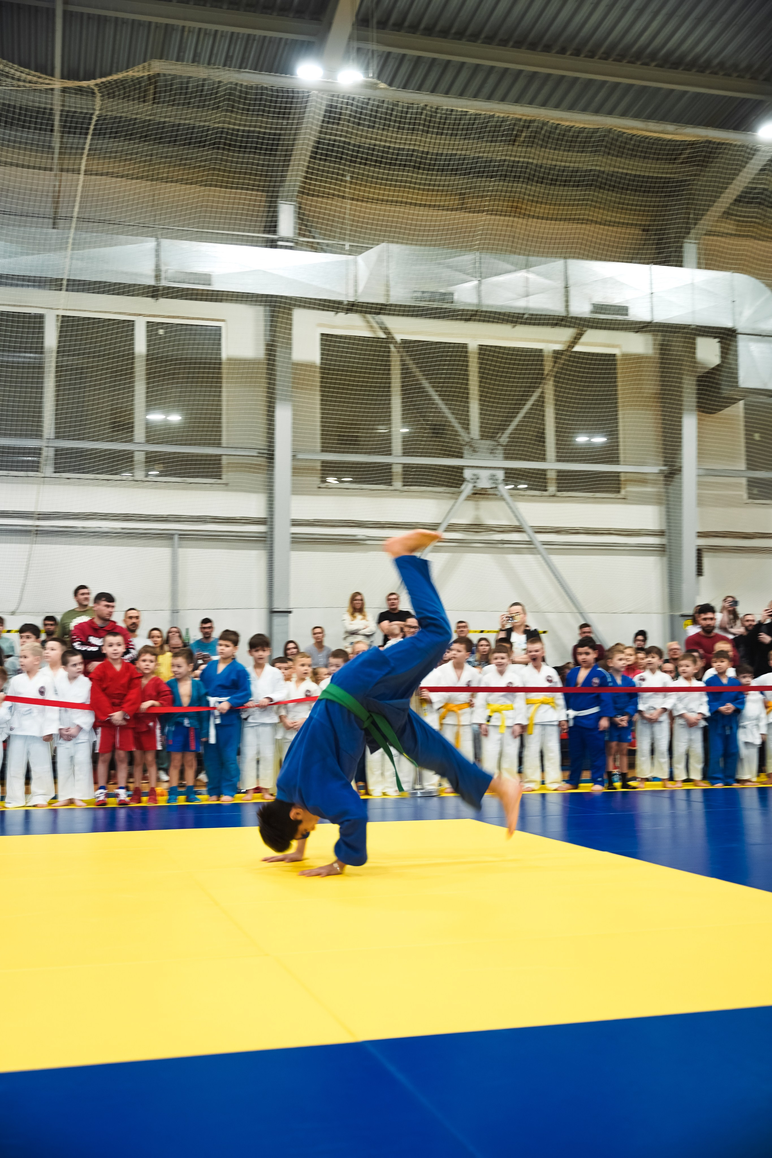 Самбо. Портретный и репортажный фотограф