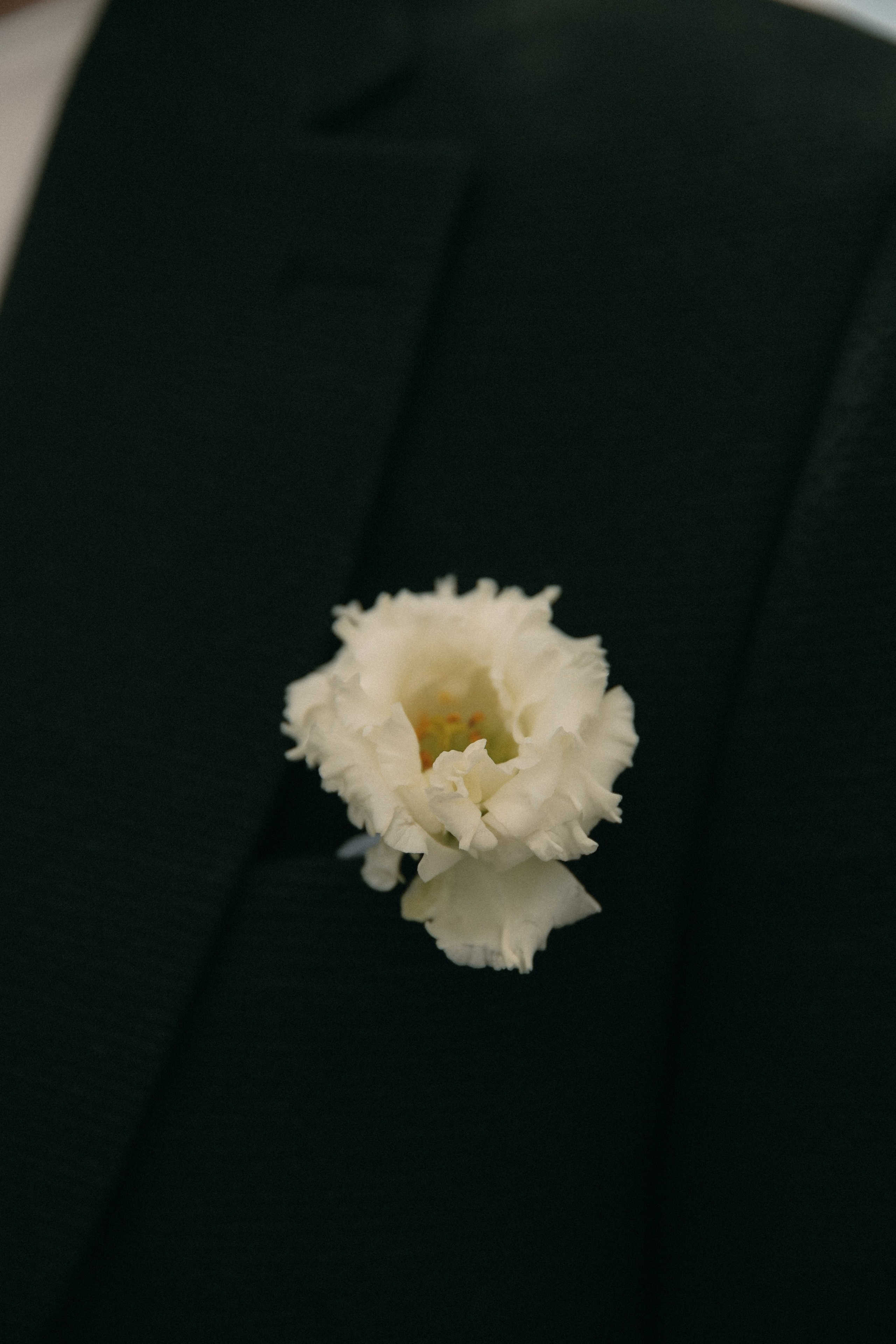 Никита и Ксения. Катерина Макиева