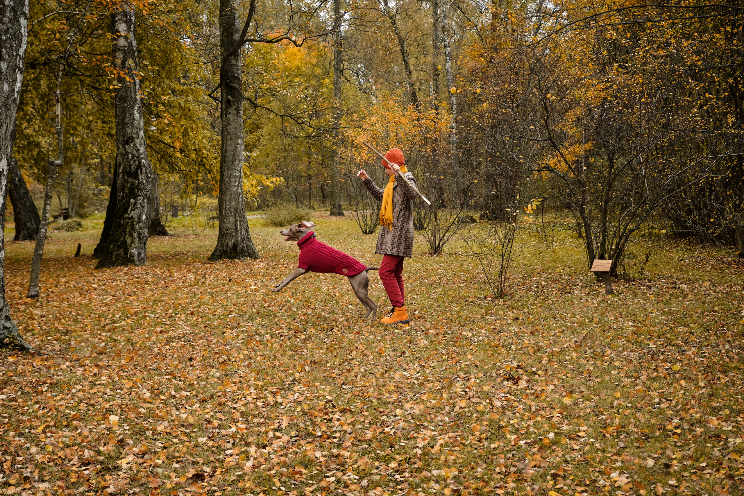 Семейная фотопрогулка