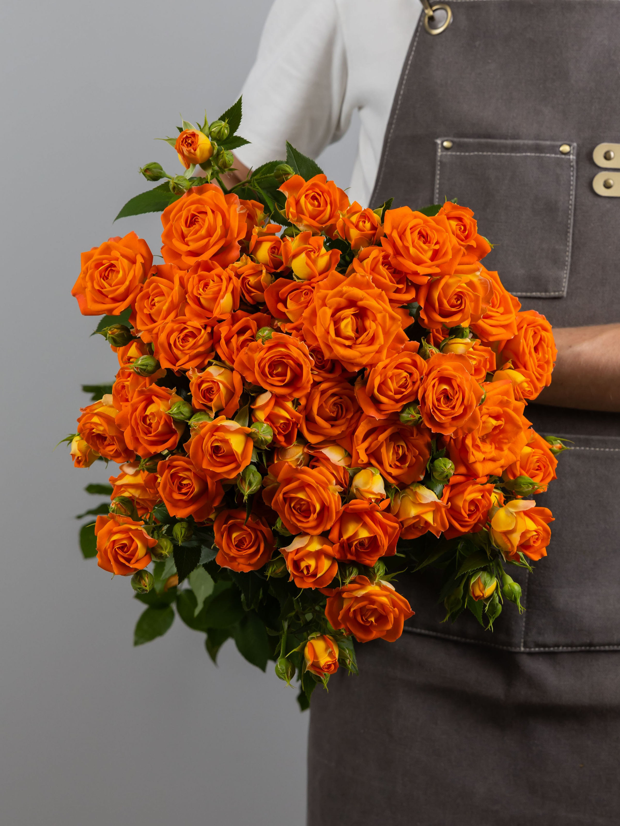 04.08.2025 Фотосессия сортов Цветополис. ФОТОГРАФ ВИНОГРАДОВА ДАРЬЯ